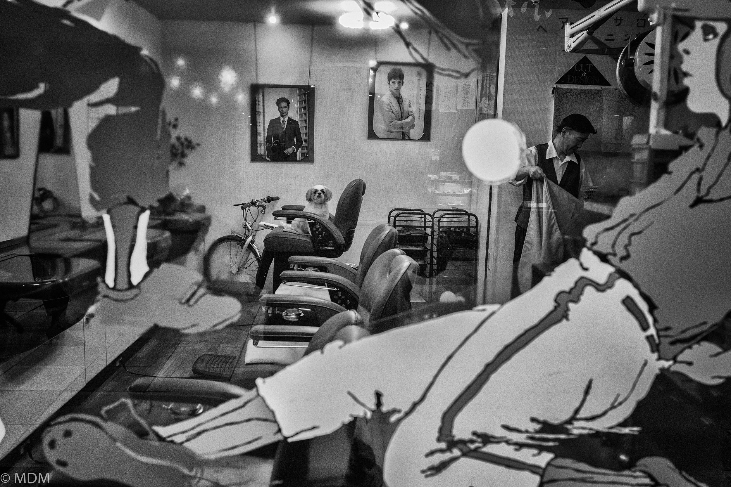 20161119_Kyoto Eric Kim_2646-Edit.jpg