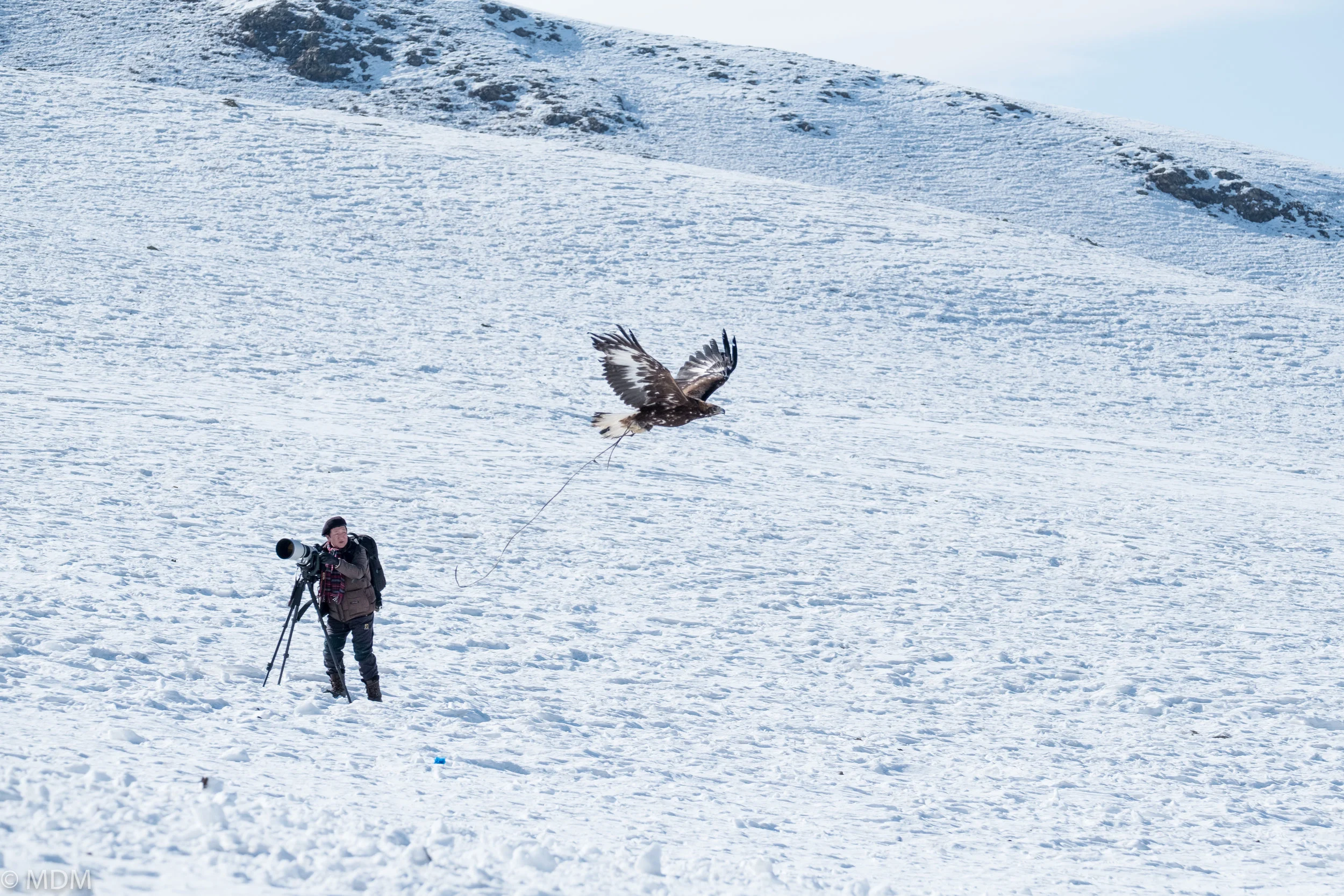 20170305_Mongolia_7074.jpg