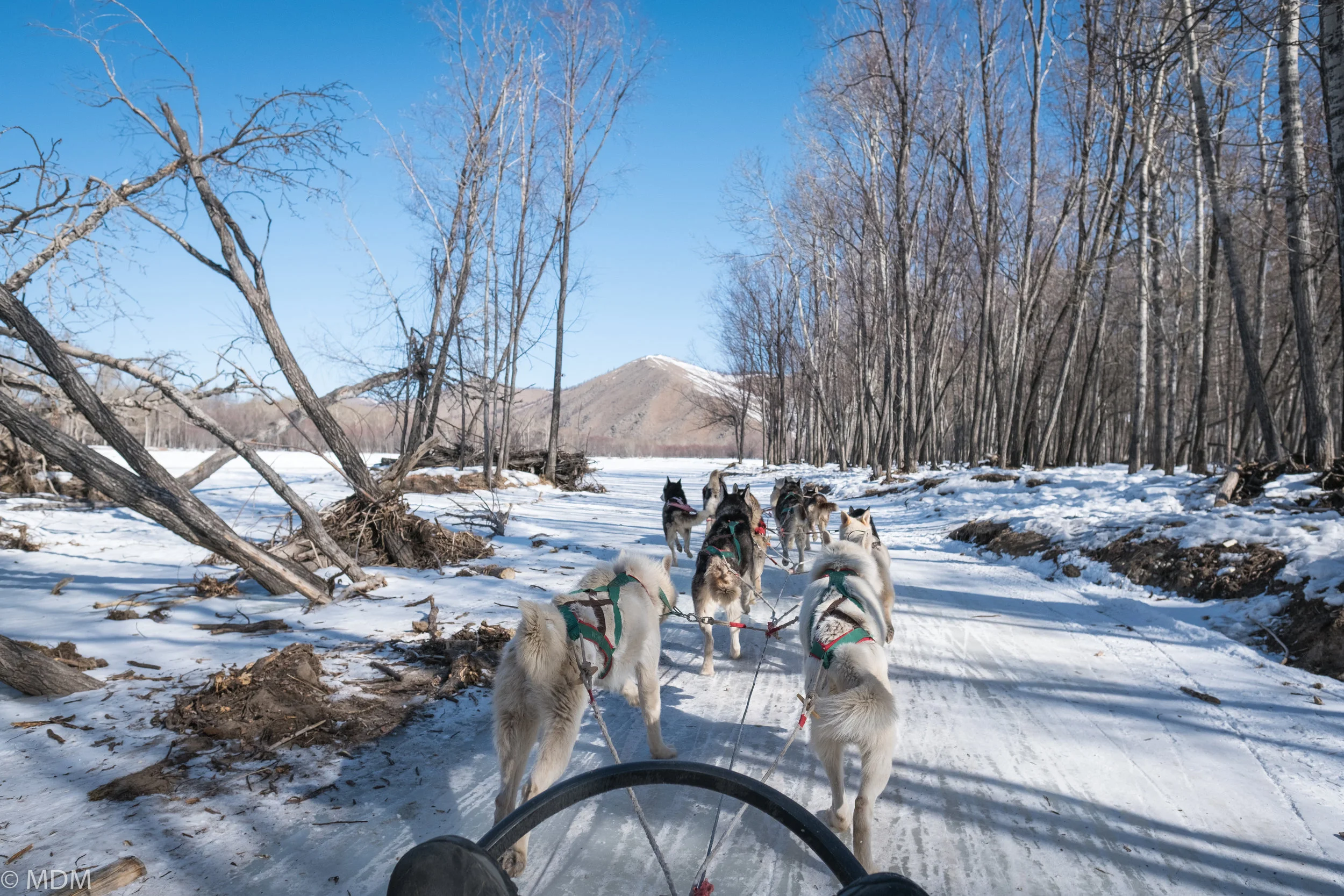 20170309_Mongolia_7603.jpg