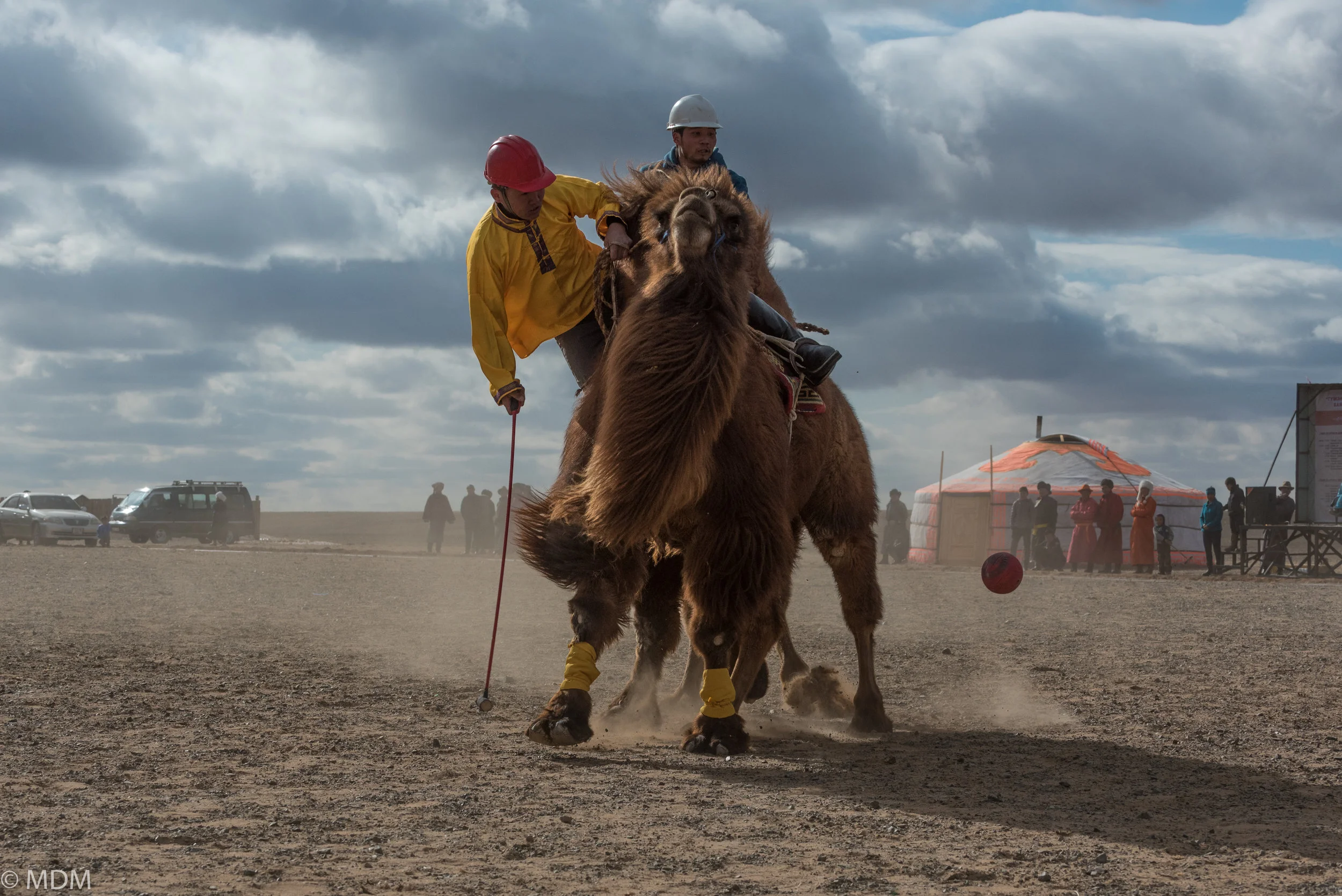 20170306_Mongolia_7135.jpg