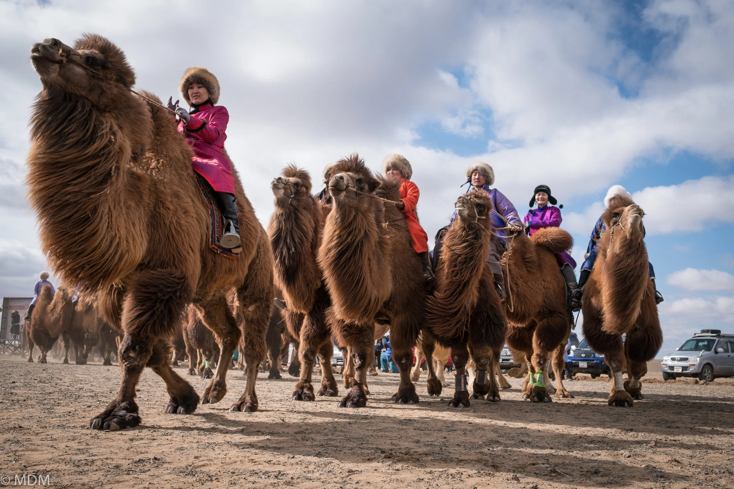 20170306_Mongolia_7267.jpg