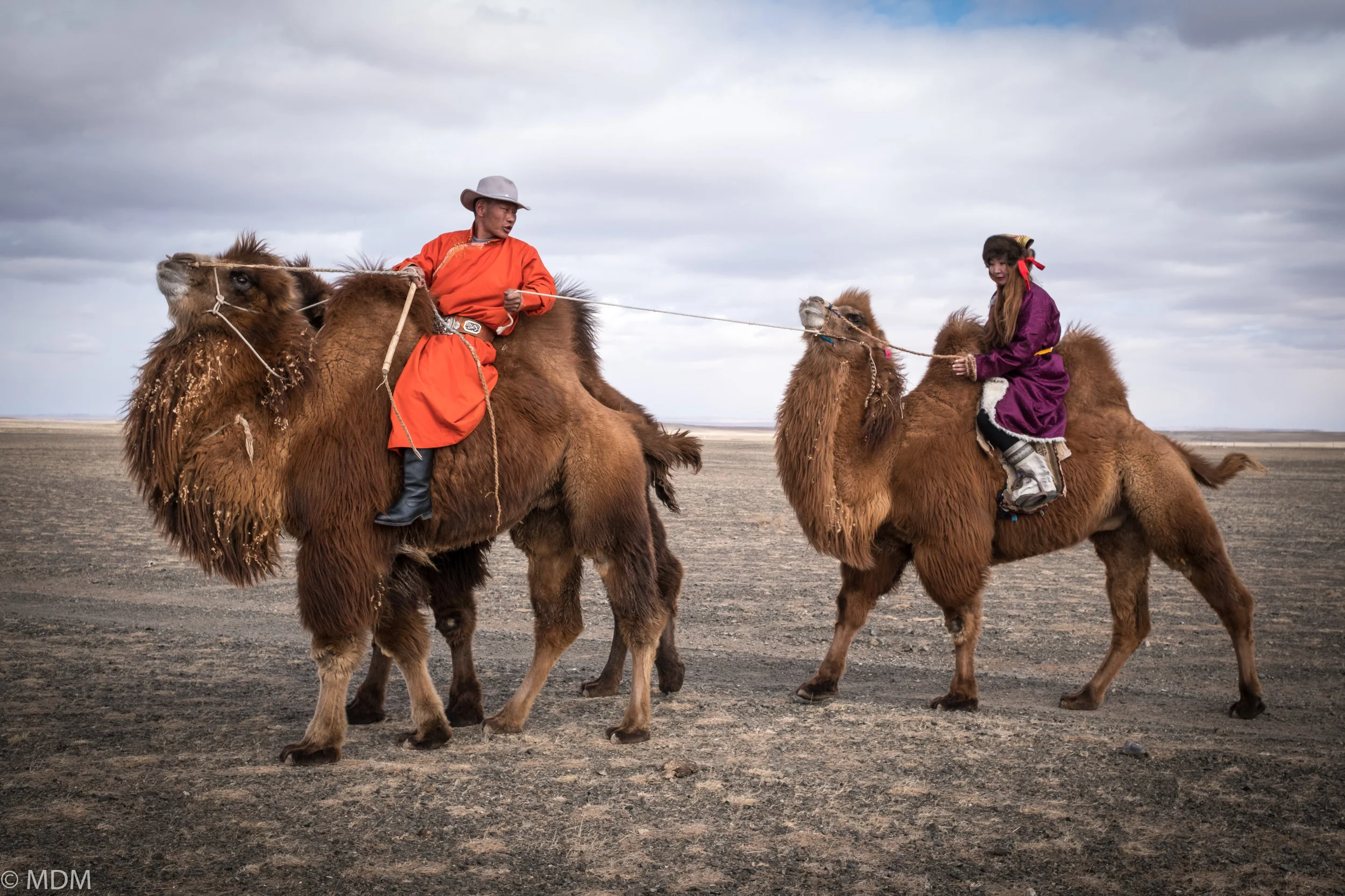 20170306_Mongolia_7212.jpg