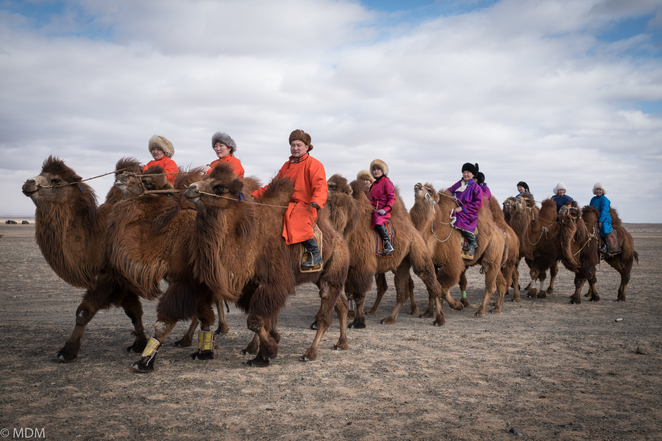 20170306_Mongolia_7207.jpg