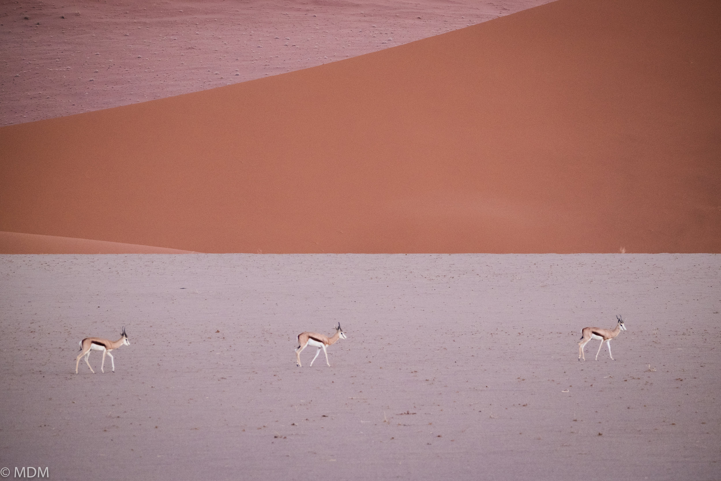 20160517_Namibia_9570.jpg