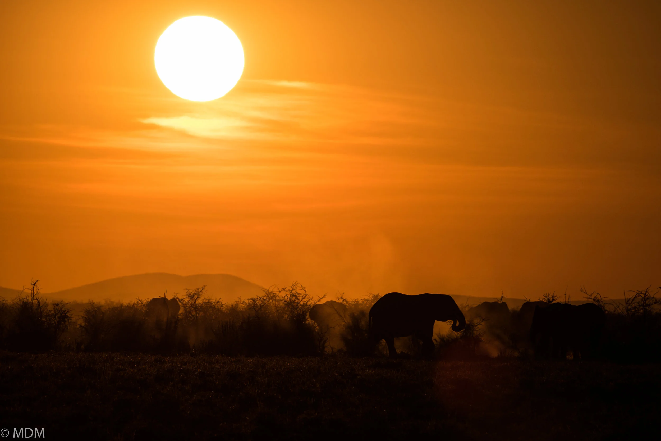 20160524_Namibia_1099.jpg