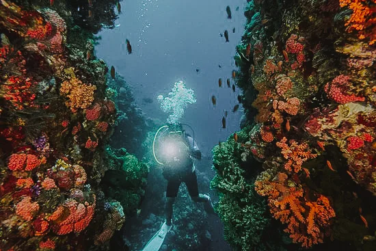 dive-at-batu-bolong-2.jpg