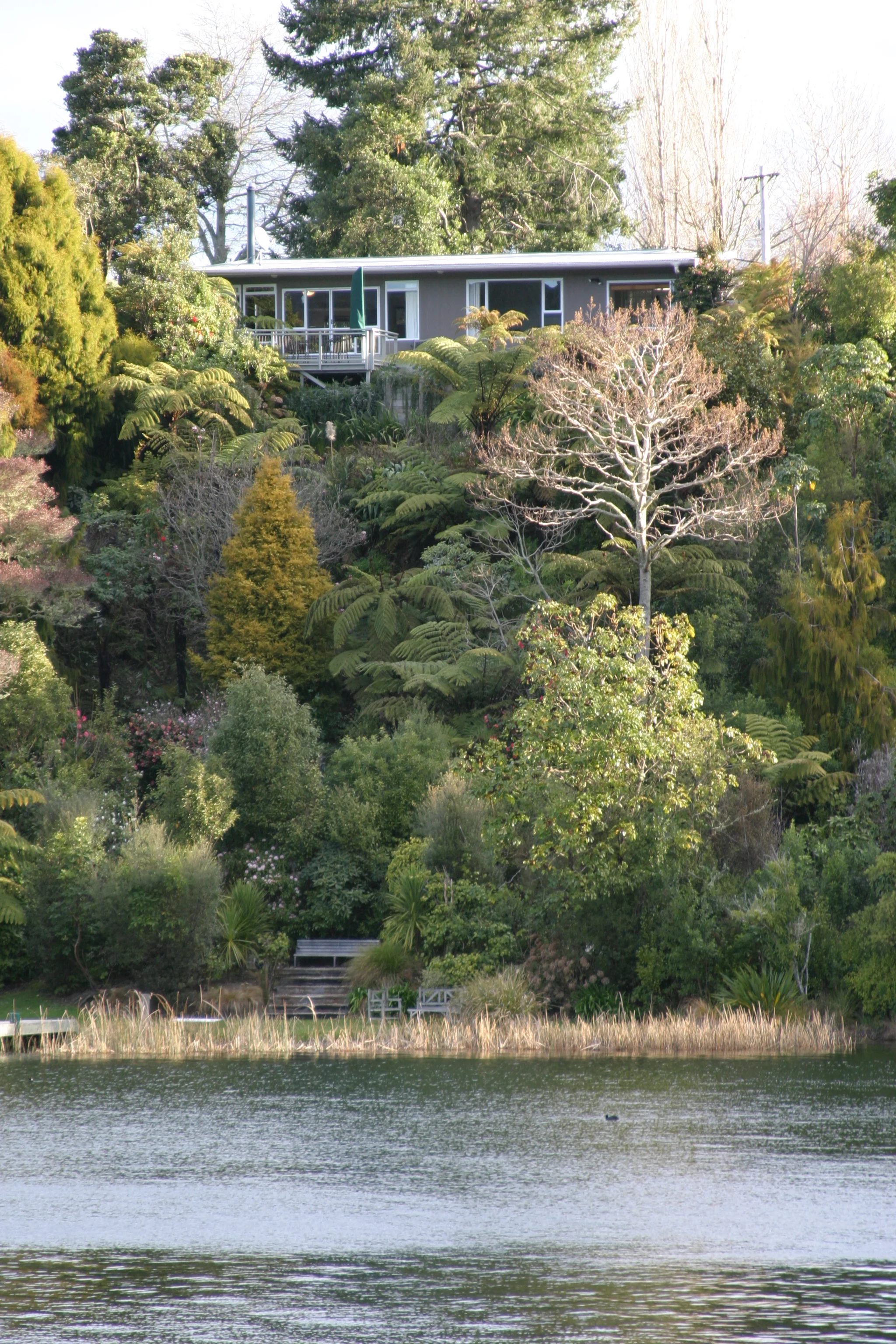 Pukeko Landing, Lake Tarawera