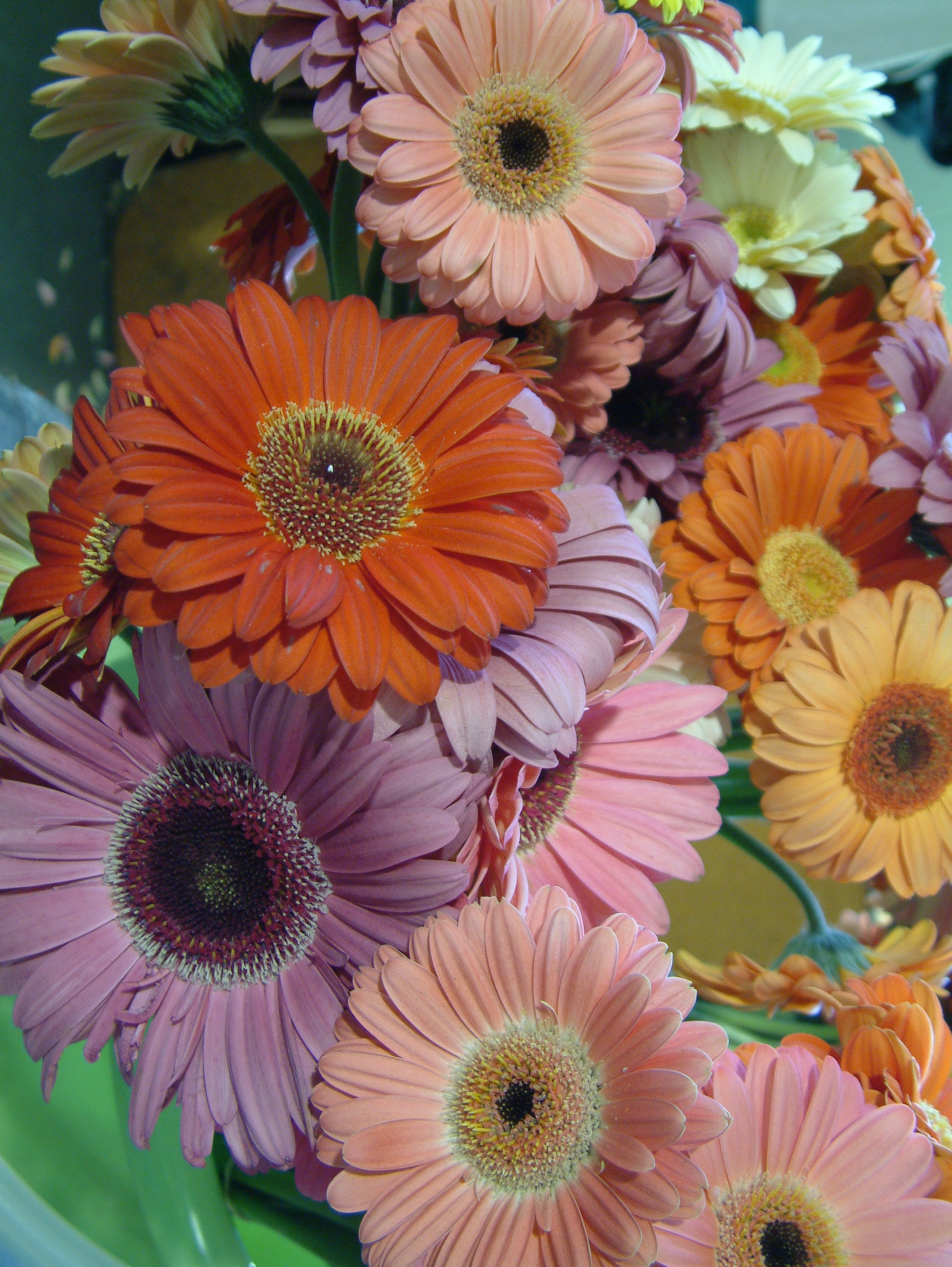 Summer home maintenance