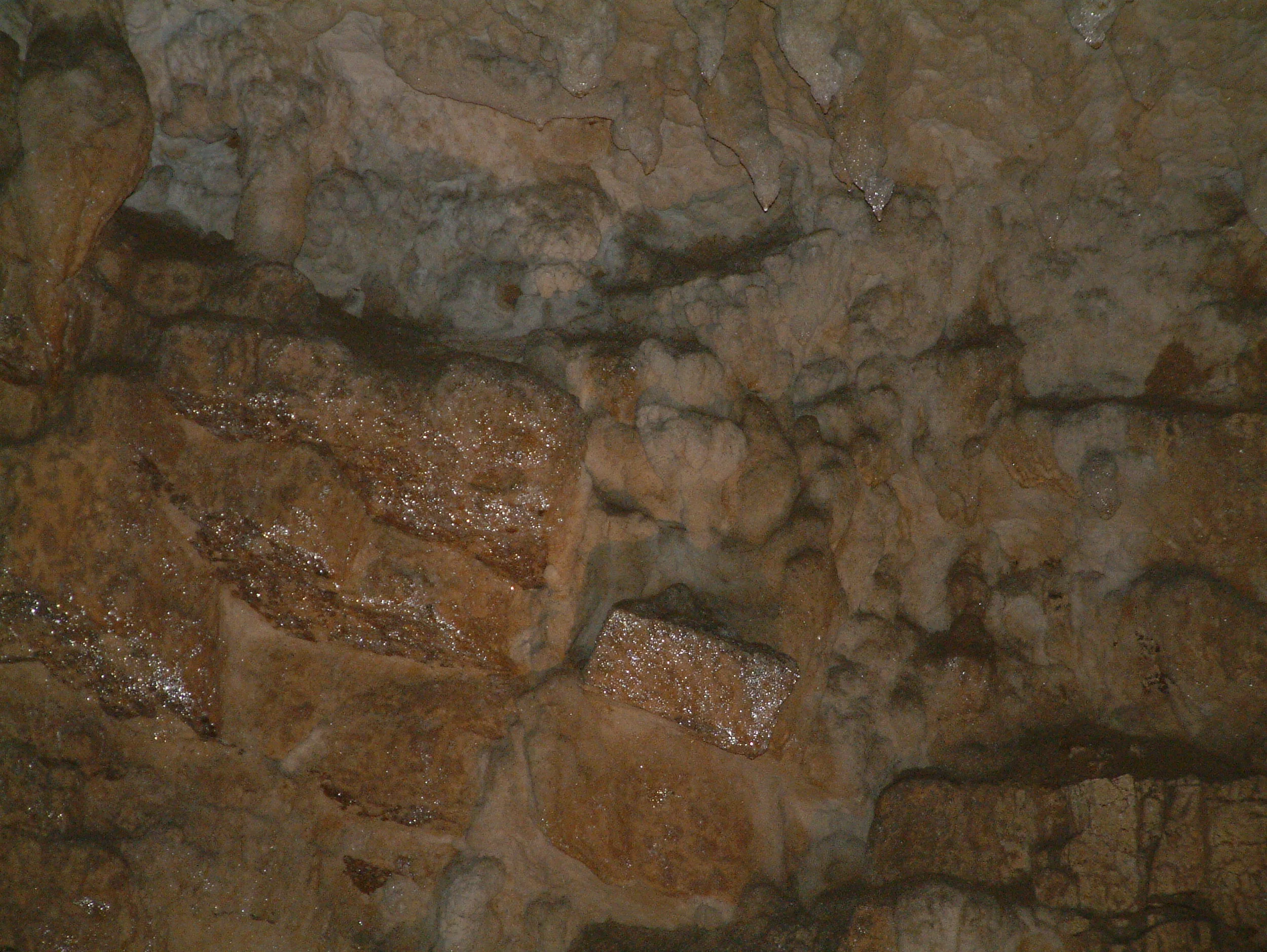 Waitomo Glowworm Caves