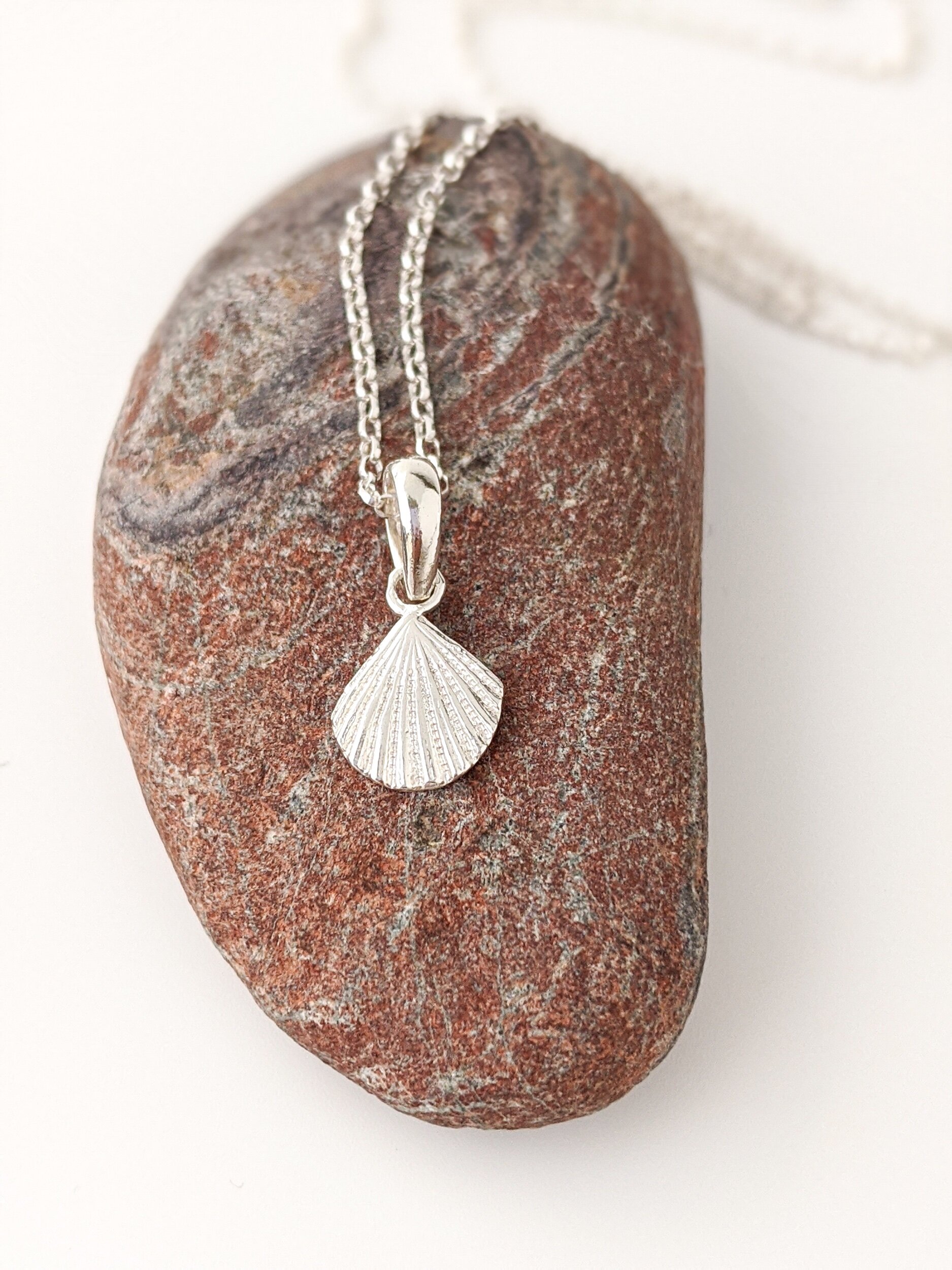 BDA8311B-69DF-406F-8BE6-D7562270AE4B