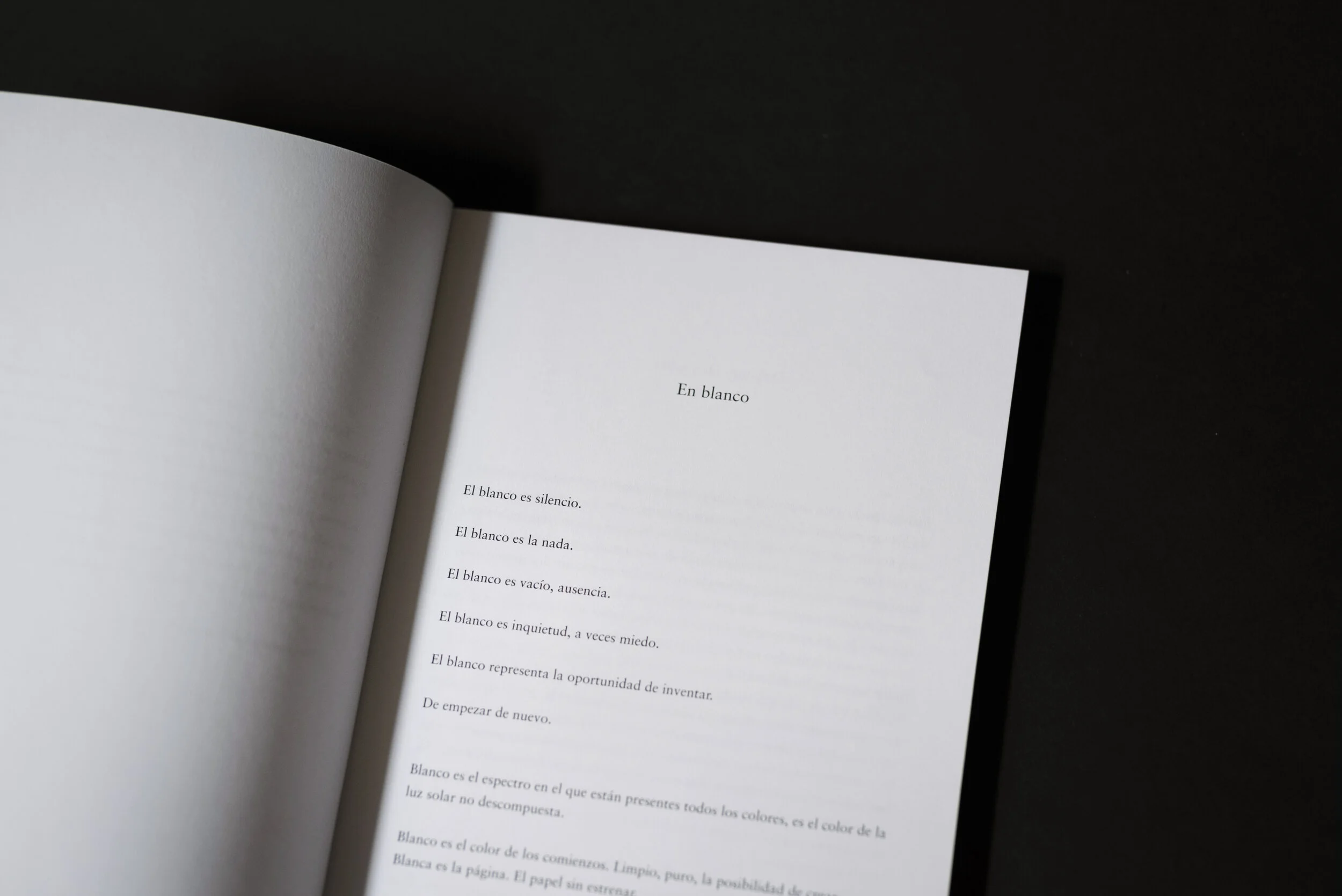 libro blanco 6.jpg
