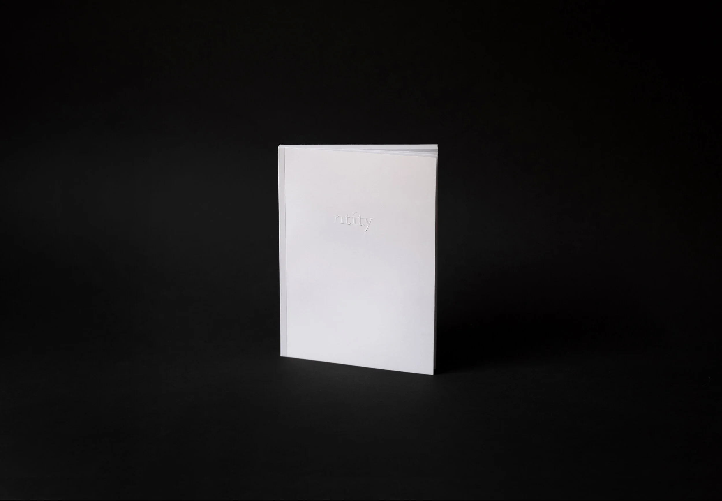 libro blanco ntity.jpg