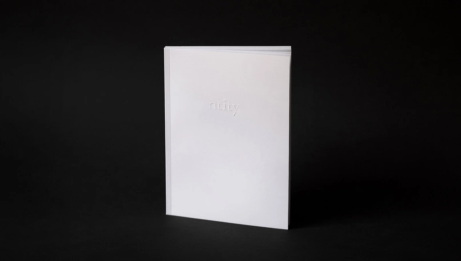 Libro Blanco Ntity.jpg