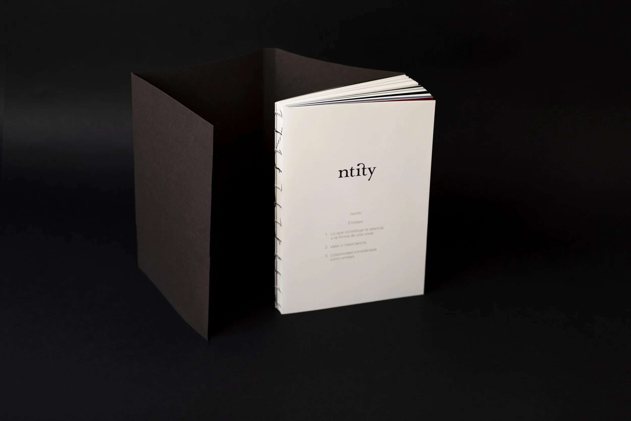 _IMG5253_LibroNtity.jpg