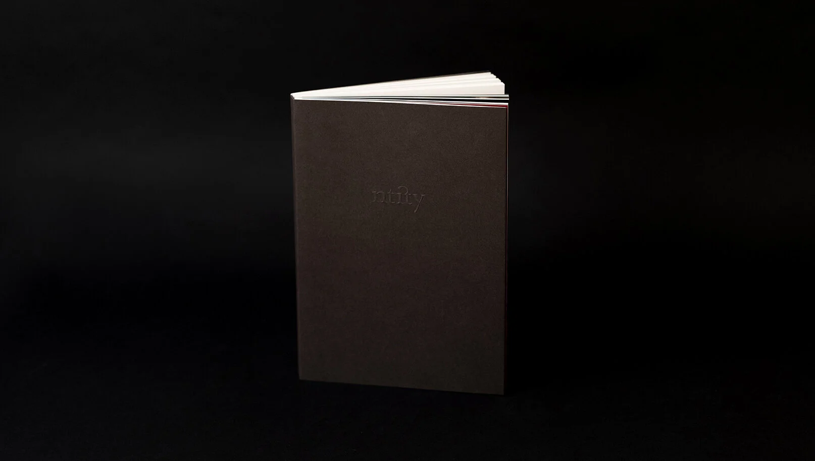 Libro Ntity.jpg