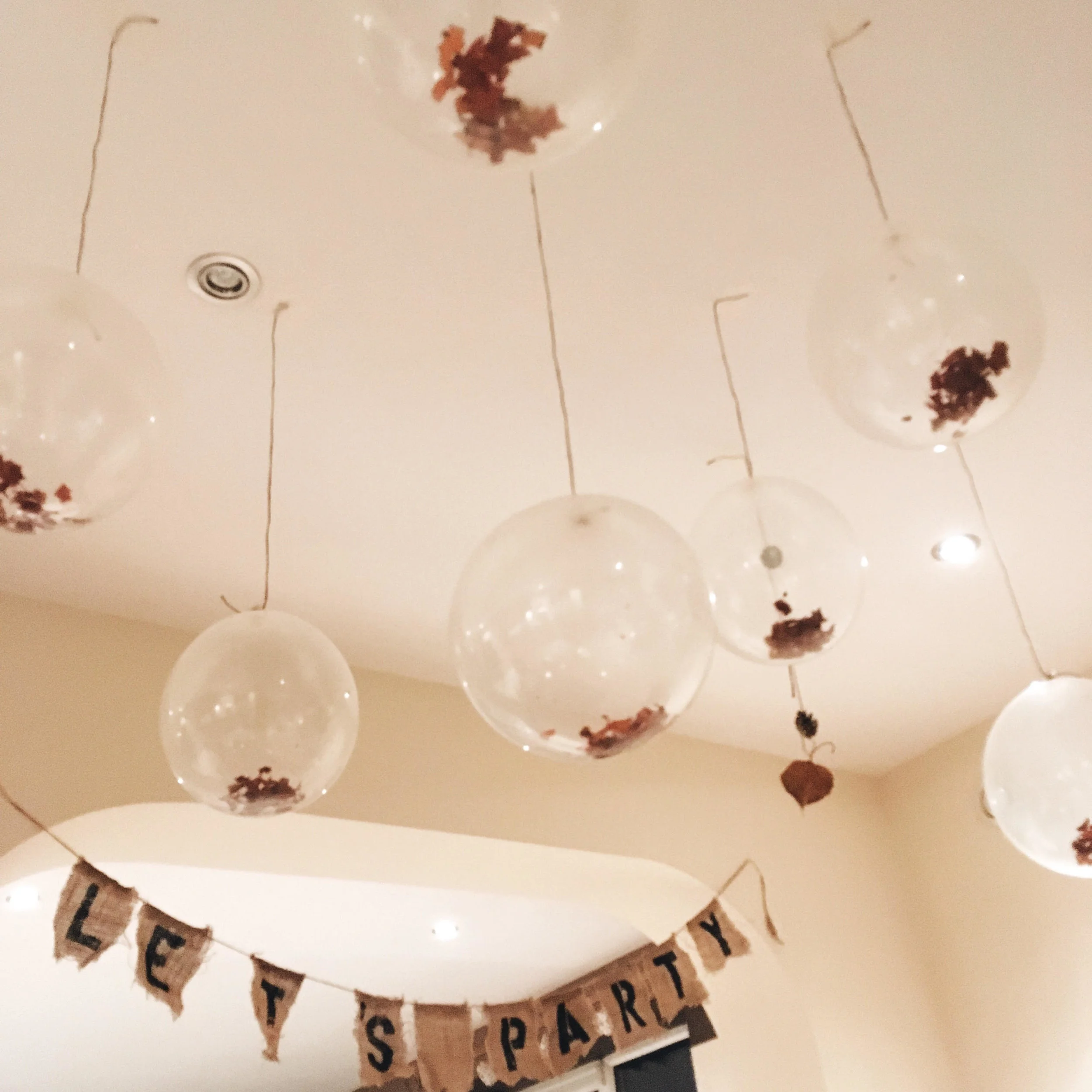 ceiling.jpg