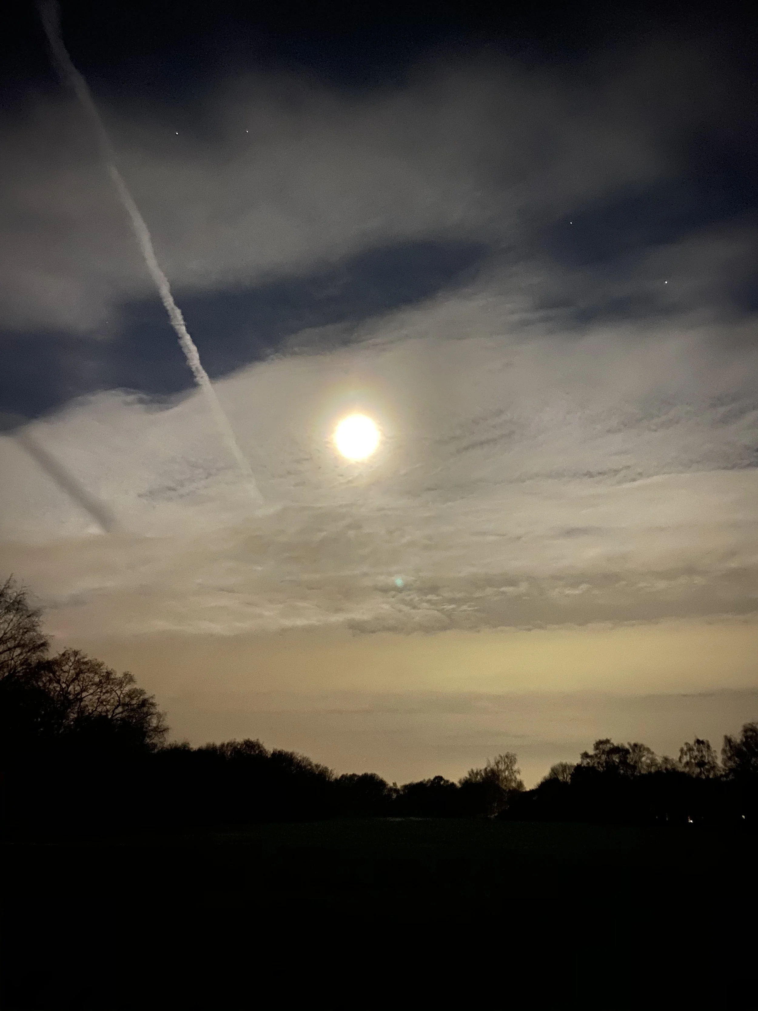 IMG_0372.jpeg