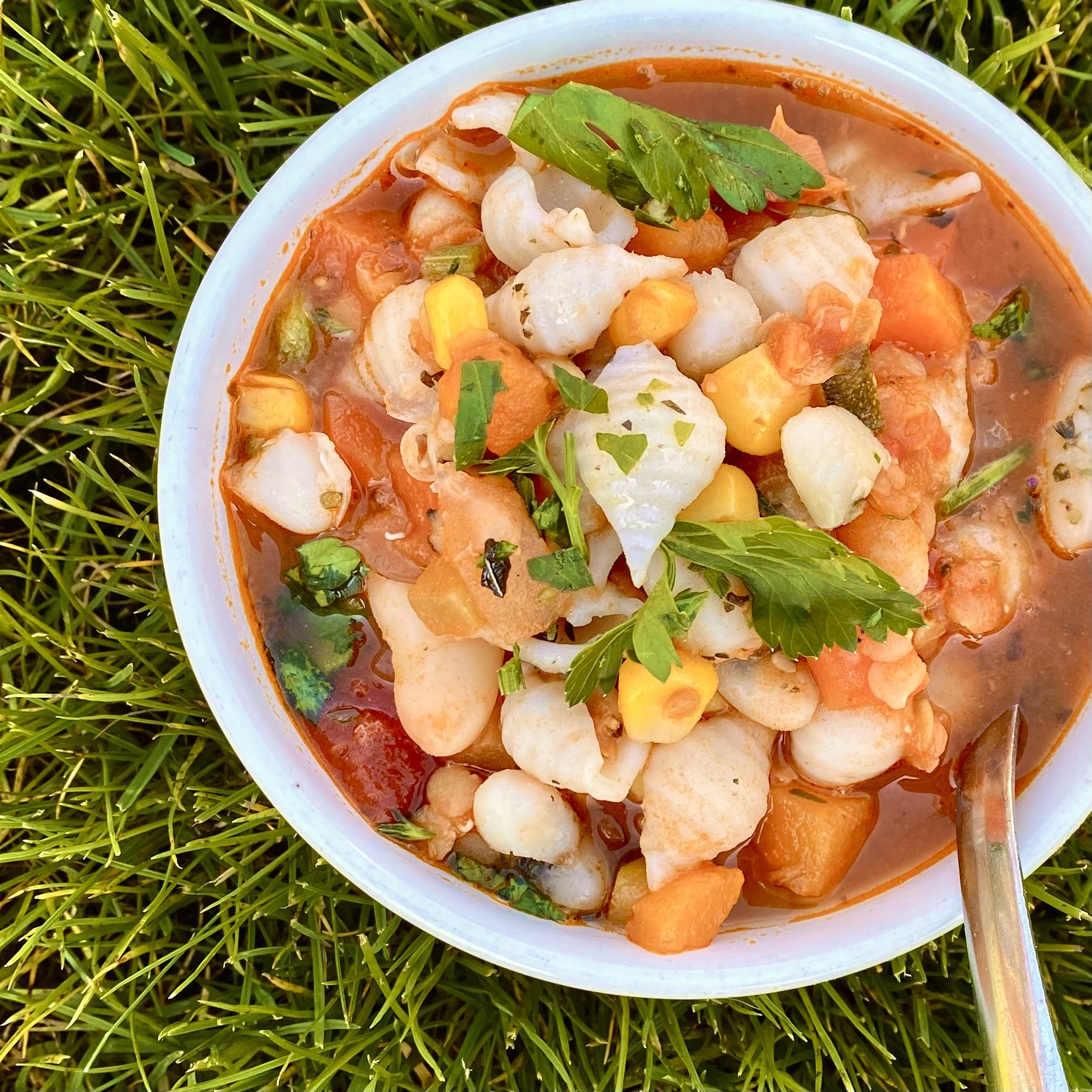 cannellini spelt pasta minestrone soup