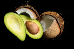 FATS: A forgotten Love Story