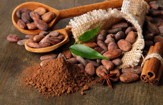 Raw Cacao: Life Energy offered to us