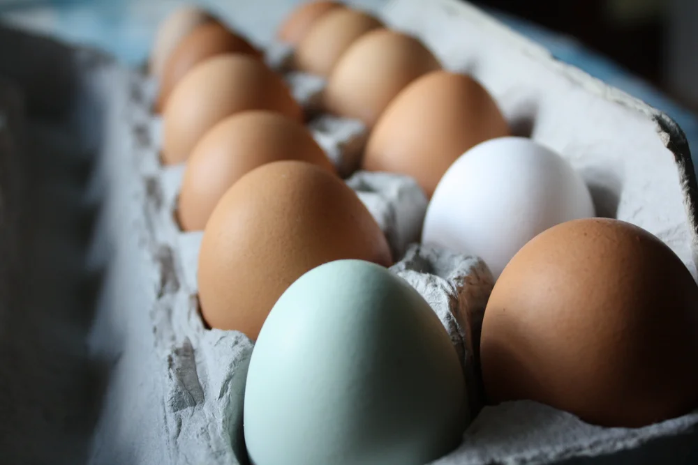 CHOLESTEROL: Myths and Legends debunked