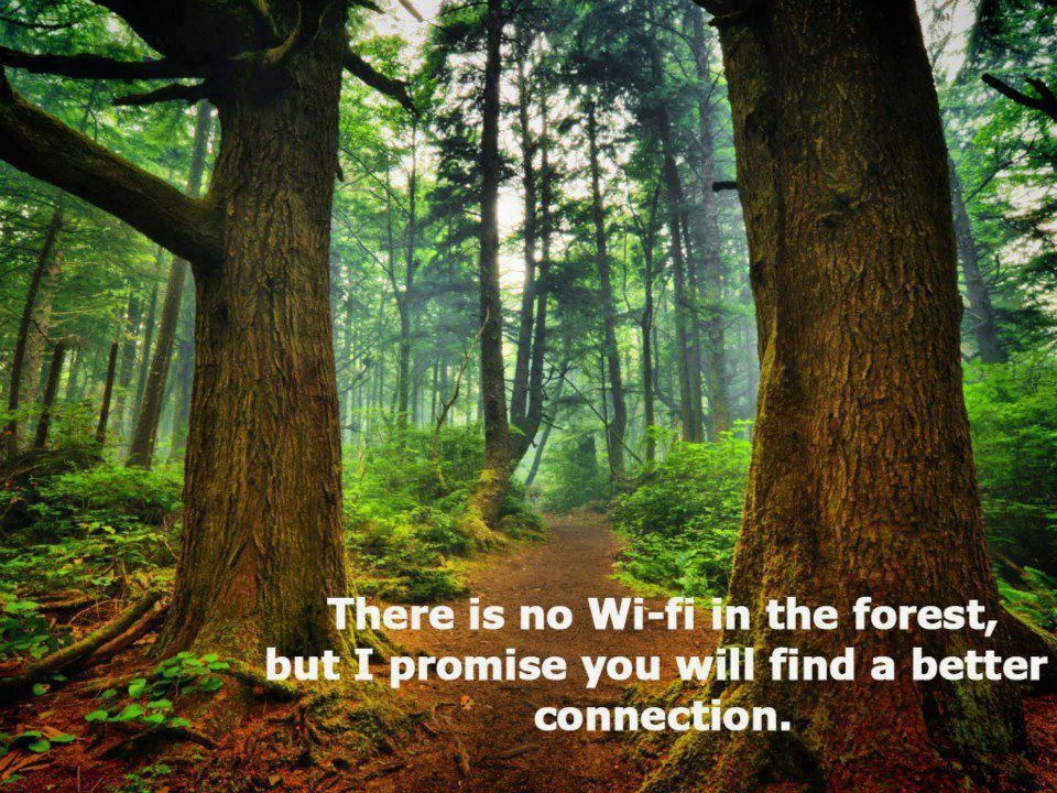 Stay connected