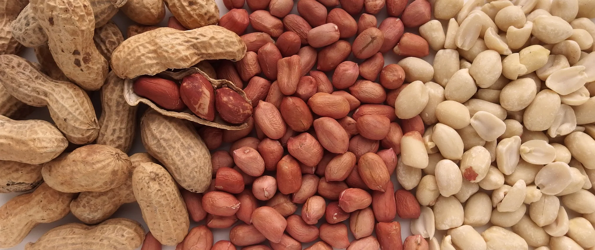 Peanuts: why you should avoid them, even if organic