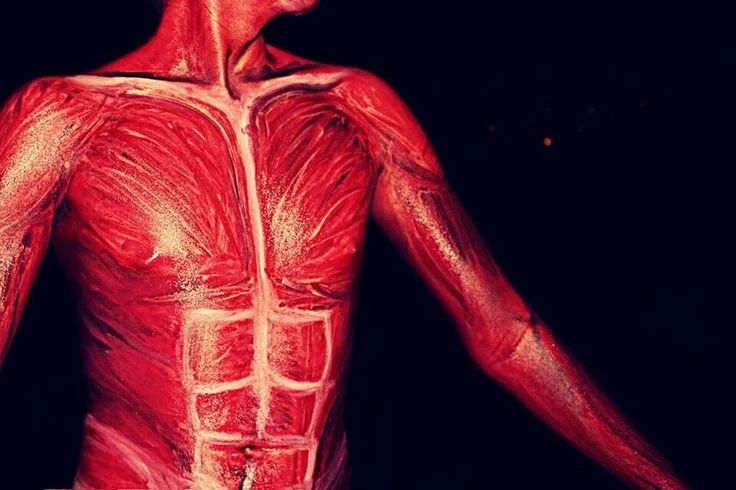 Inflammation – what is it?