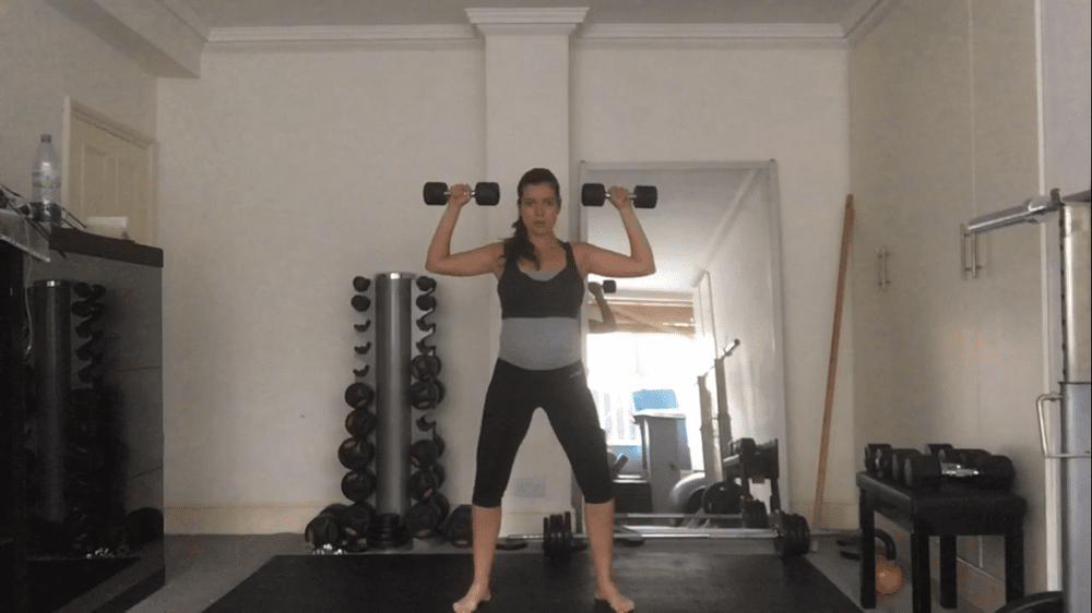 Dumbbells Upper Body and Back Workout Video