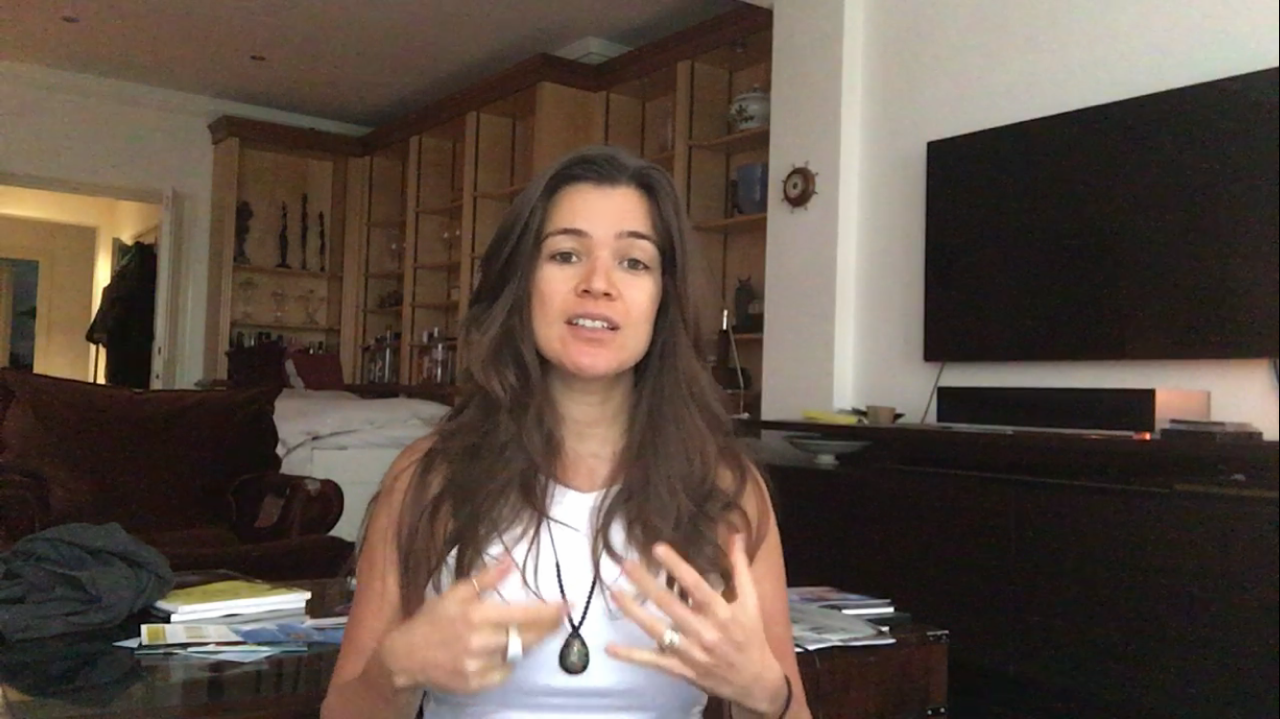 SC - video - Soy capture.PNG