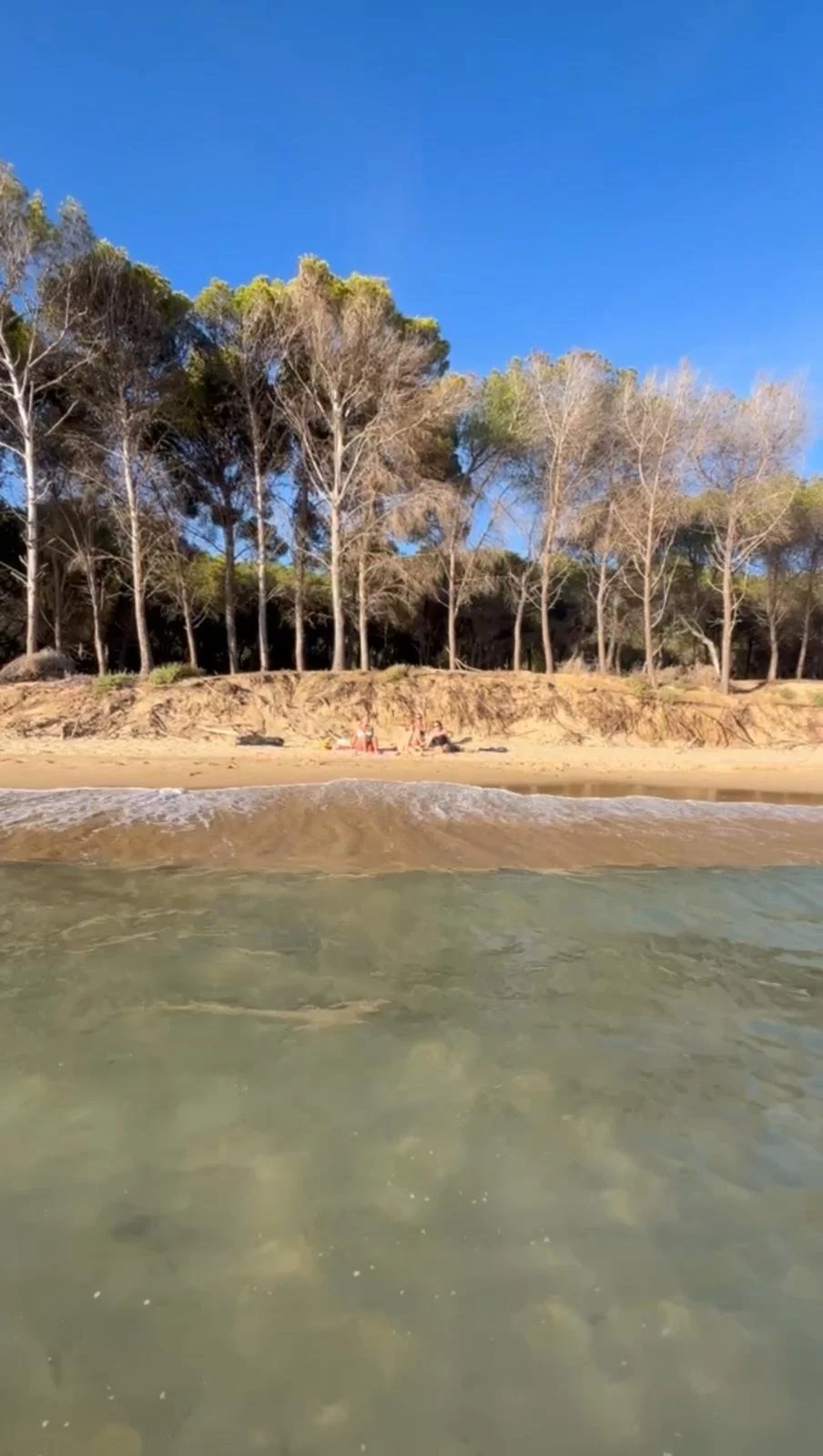 WhatsApp Image 2025-12-03 at 16.31.42.jpeg