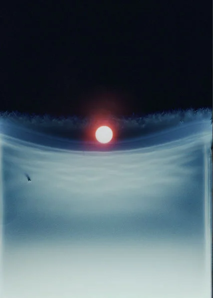 ©Dries Segers, Hits of Sunshine, 2017