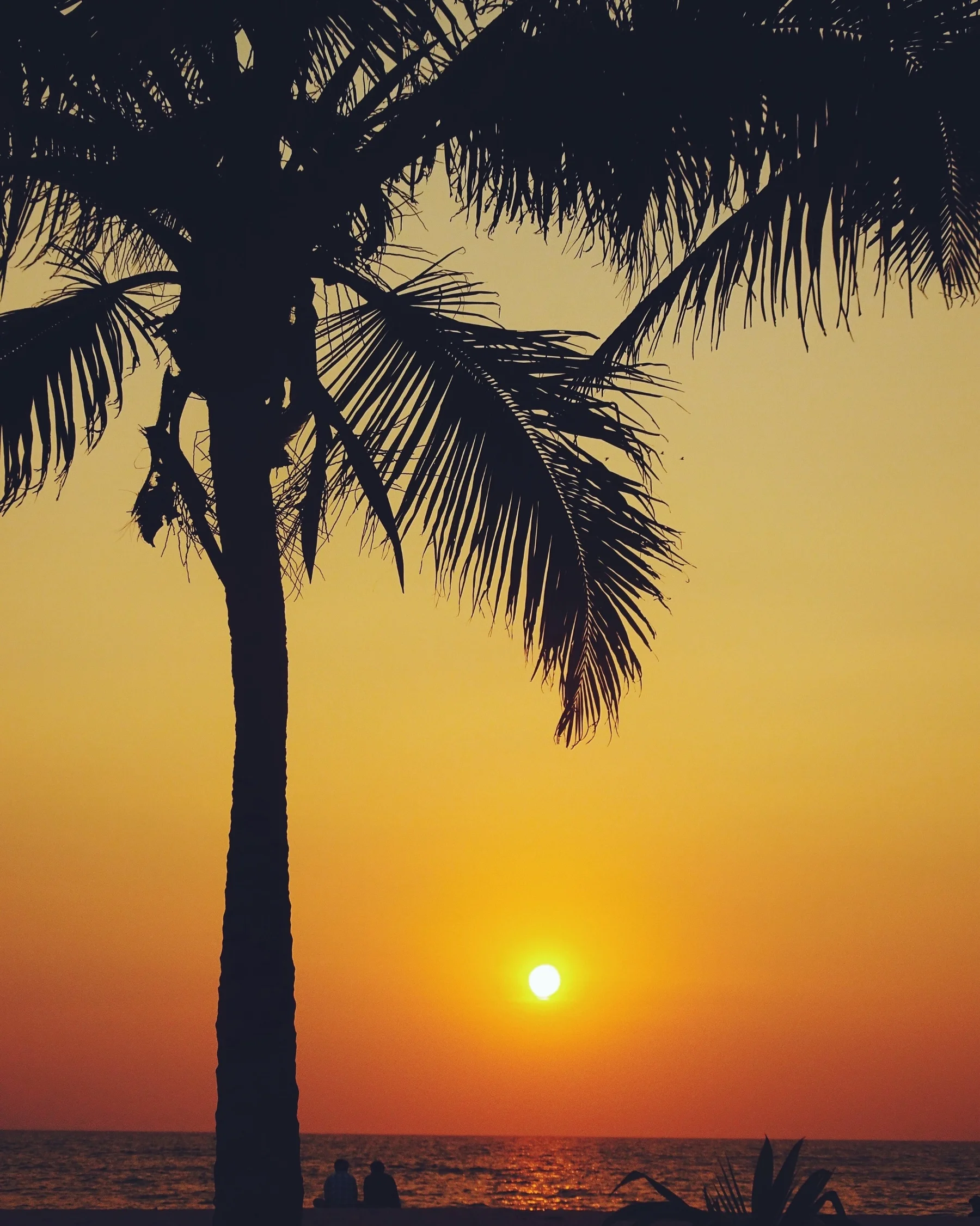Marari Beach, Alleppey, Kerala. 2017.