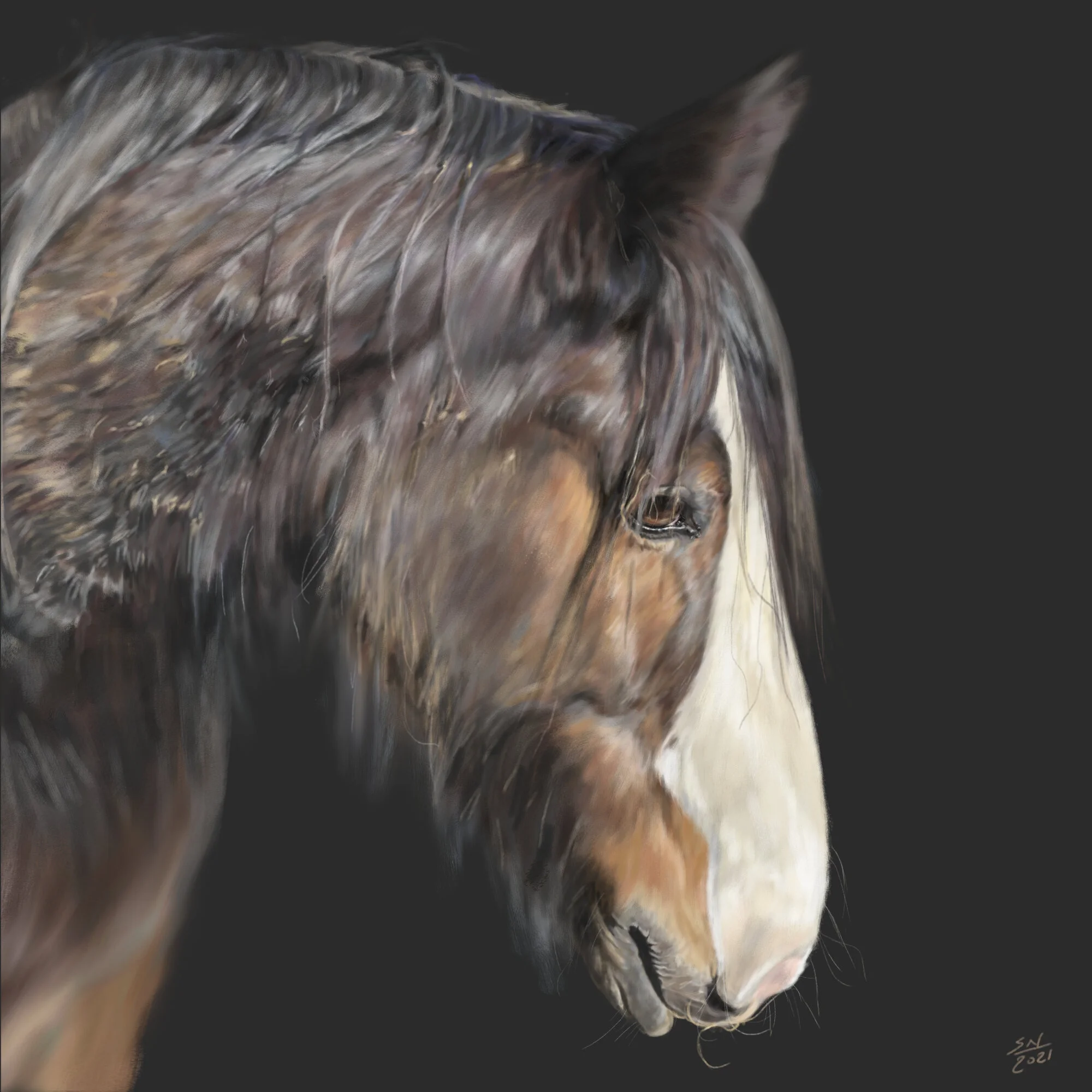 BORRIS_digital painting.jpg