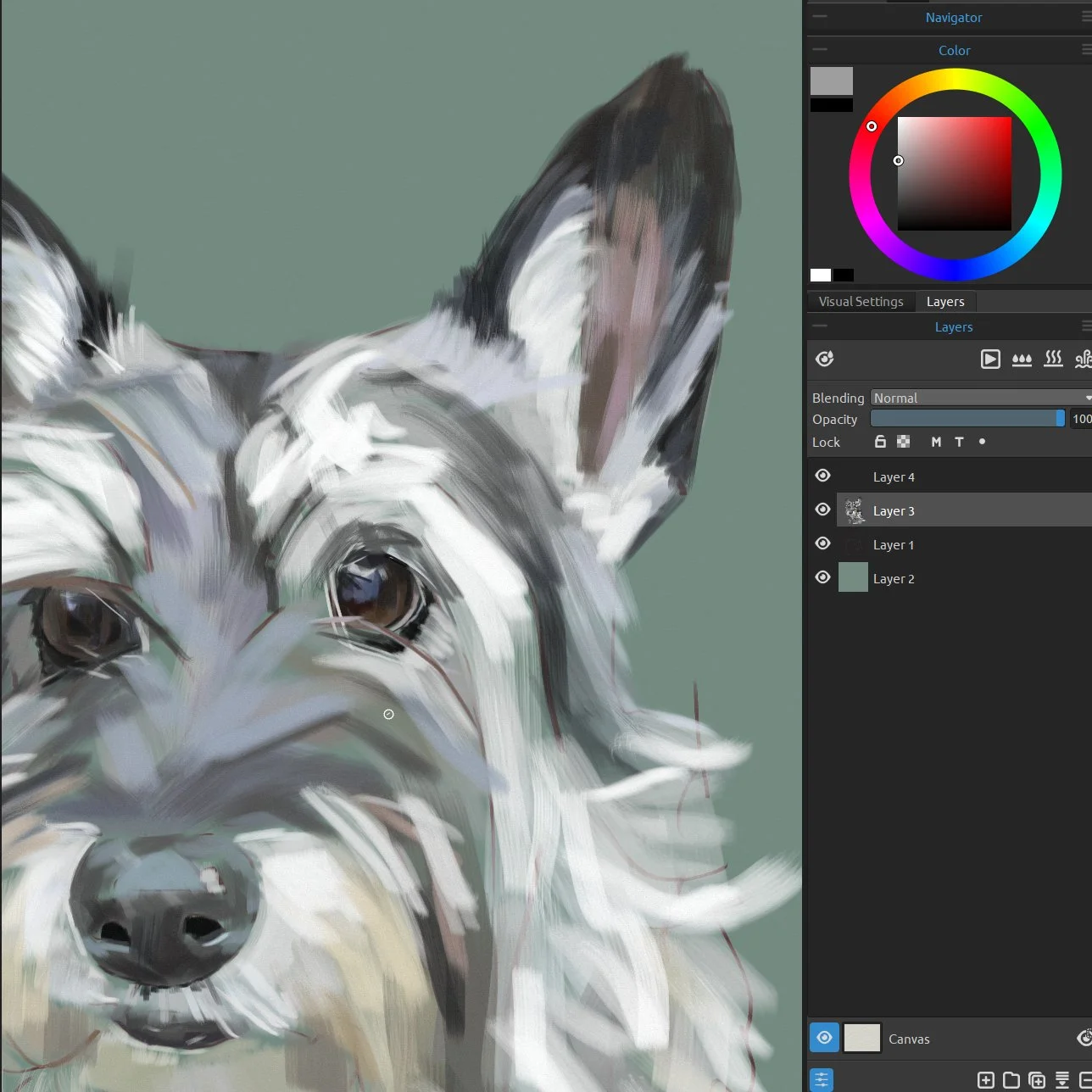 Shining Eyes, A Work in Progress