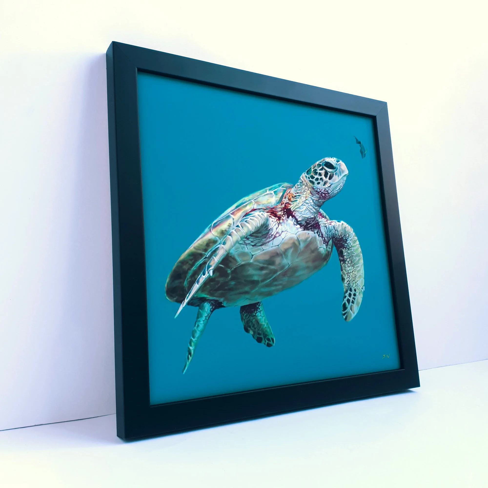 turtle_frame angle 1.jpg
