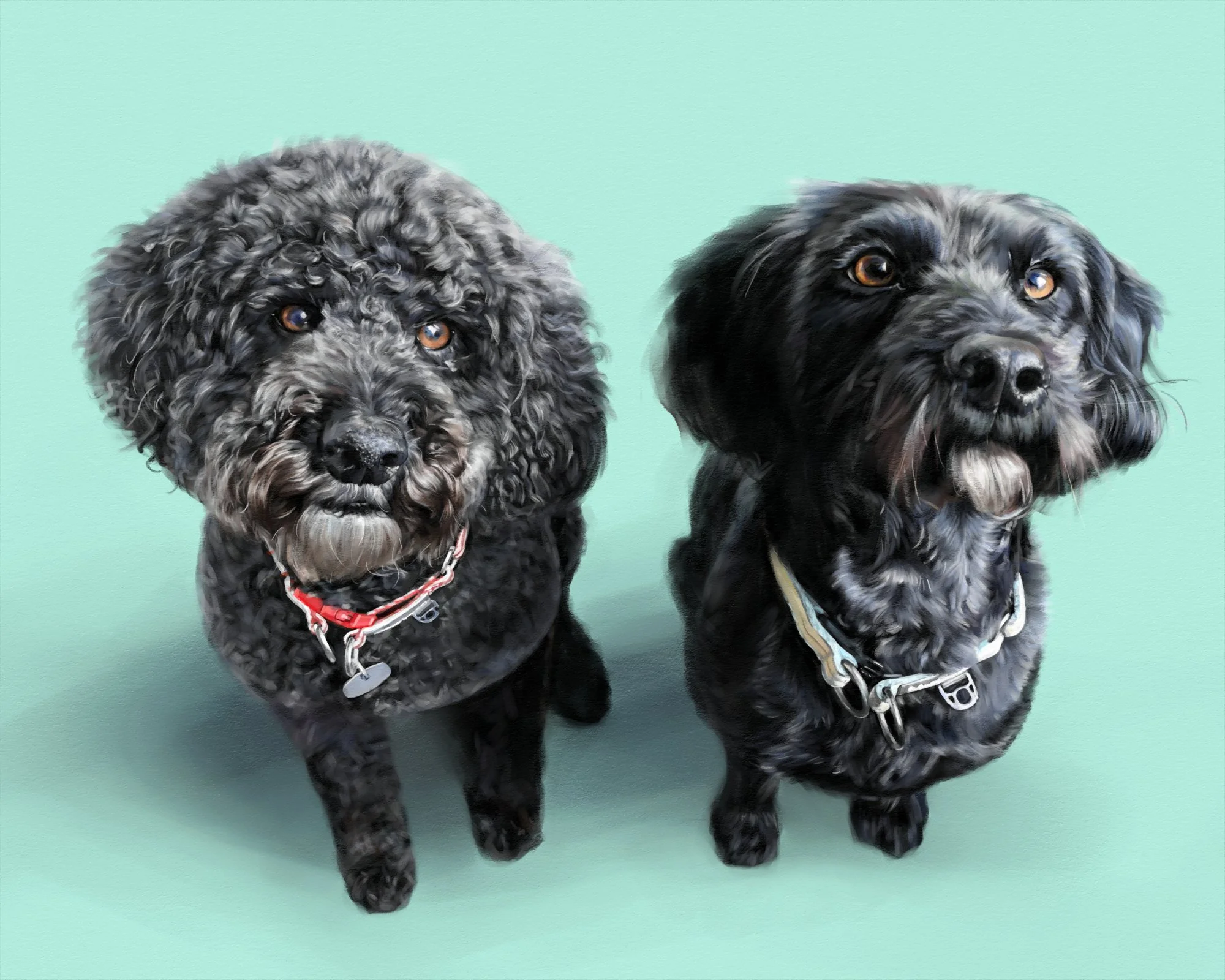 BERTIE & BANJO.jpg
