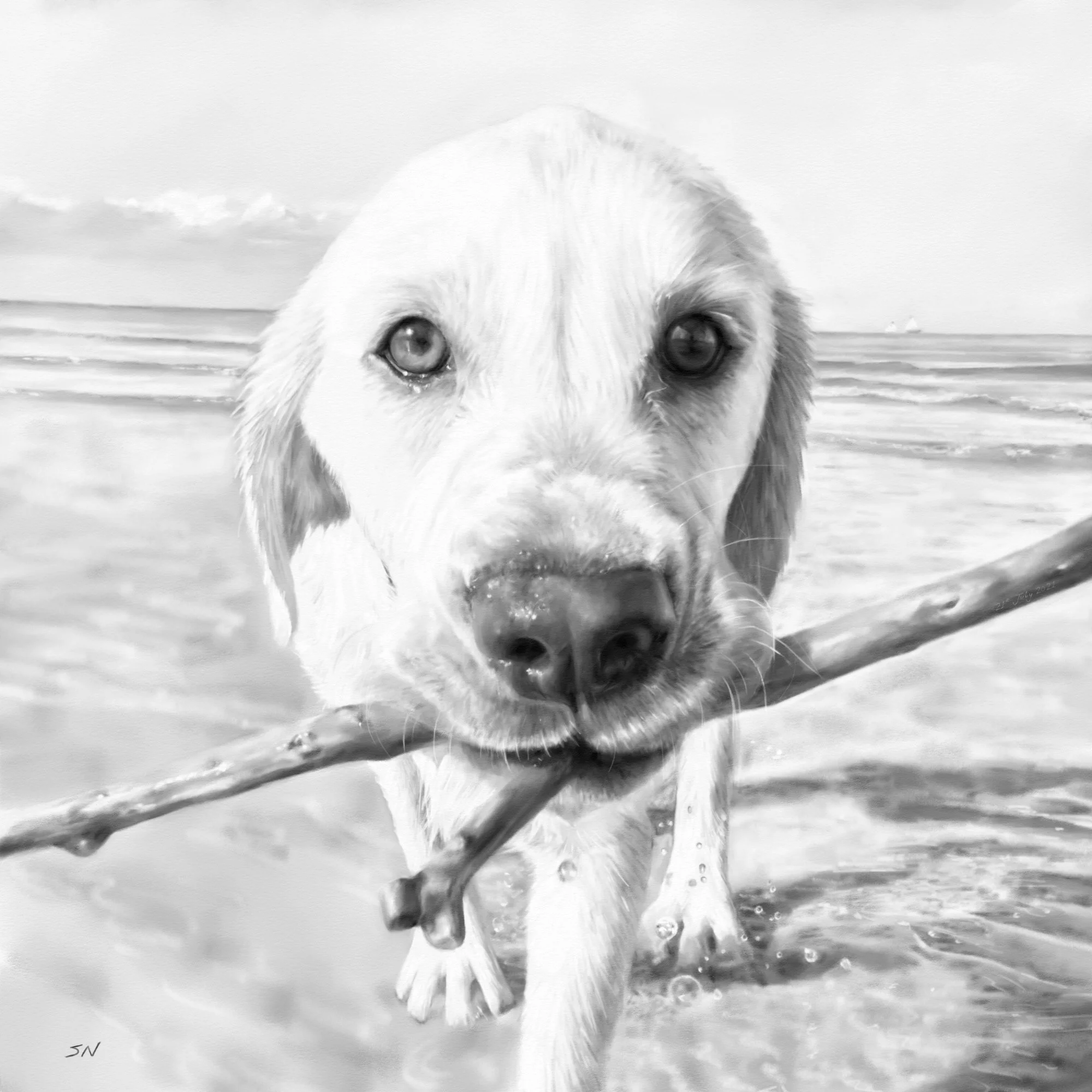 MAX_PORTRAIT.jpg