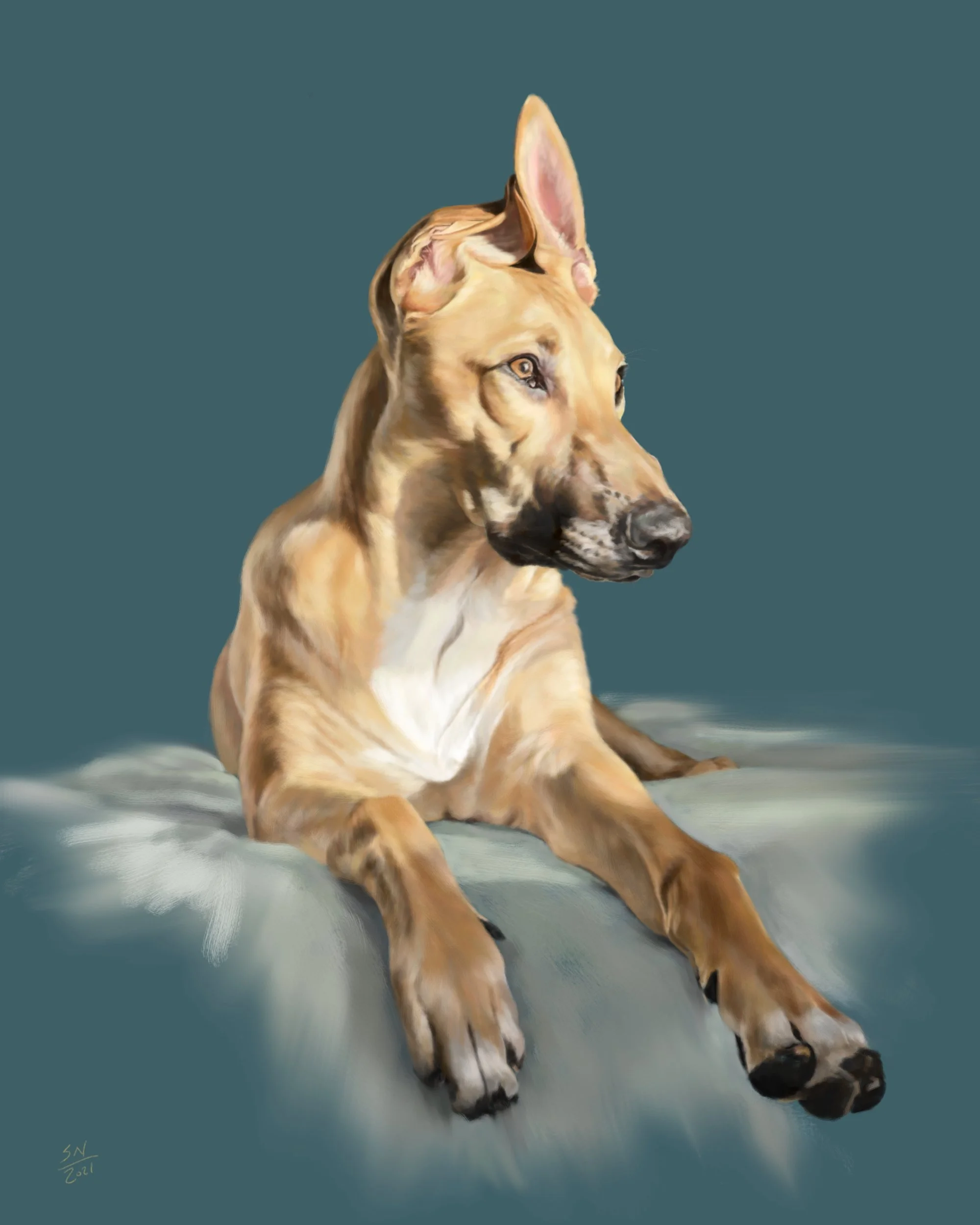 ROLLO_PORTRAIT.jpg