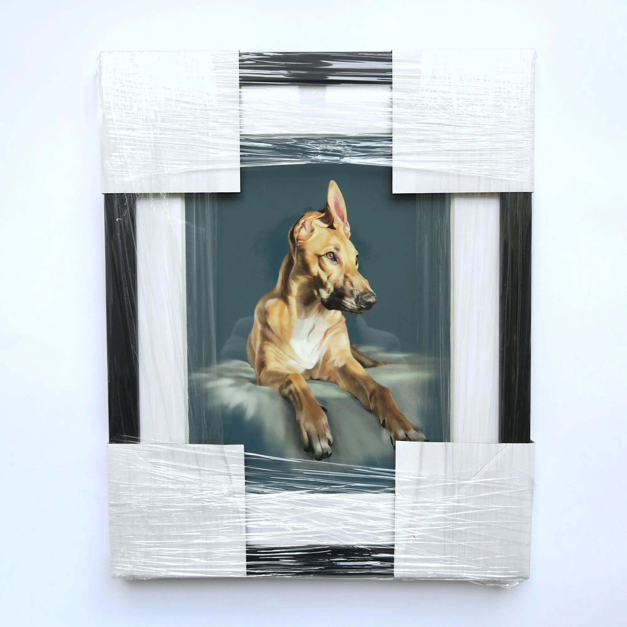 ROLLO_FRAMED_WRAPPED.jpg