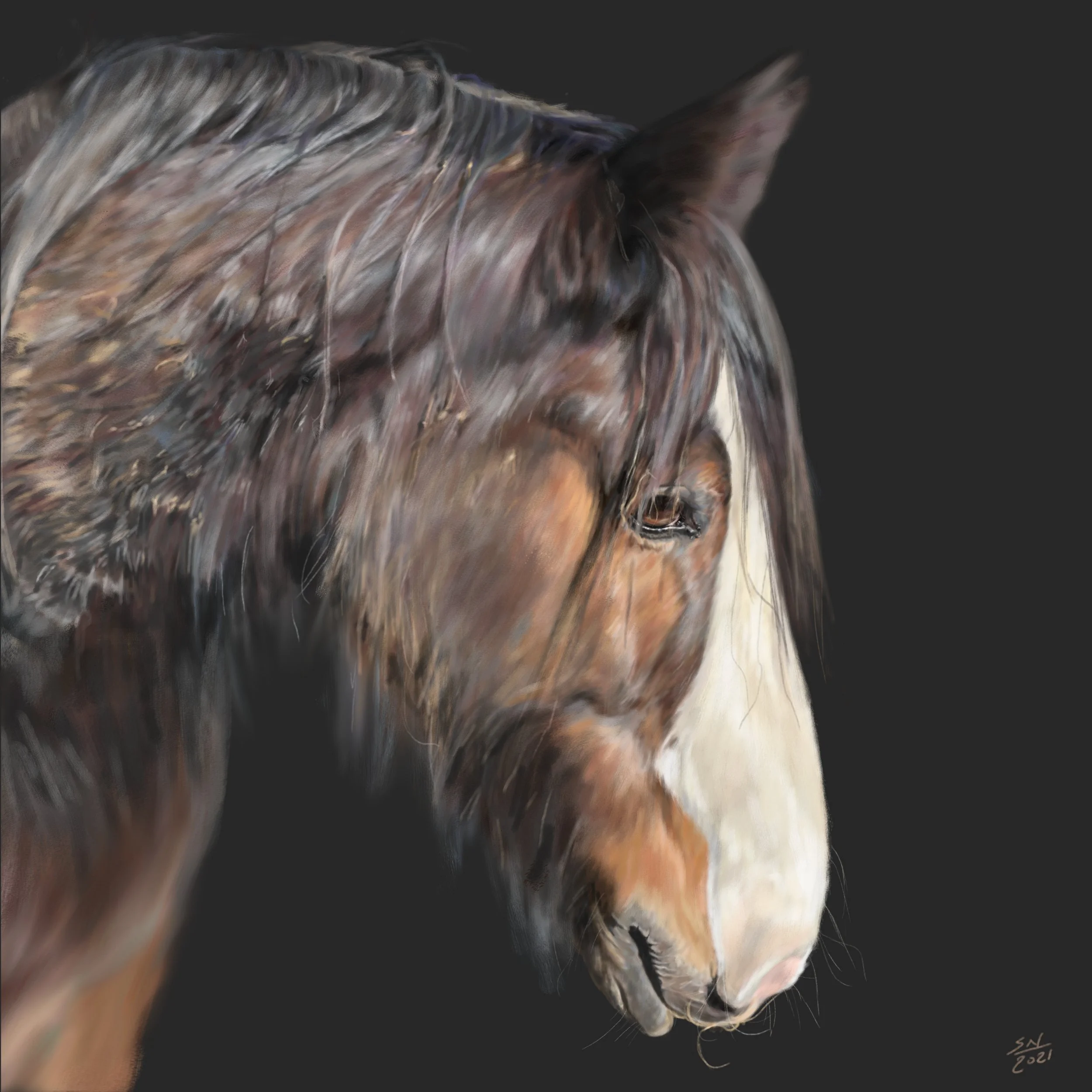 BORRIS_PORTRAIT.jpg