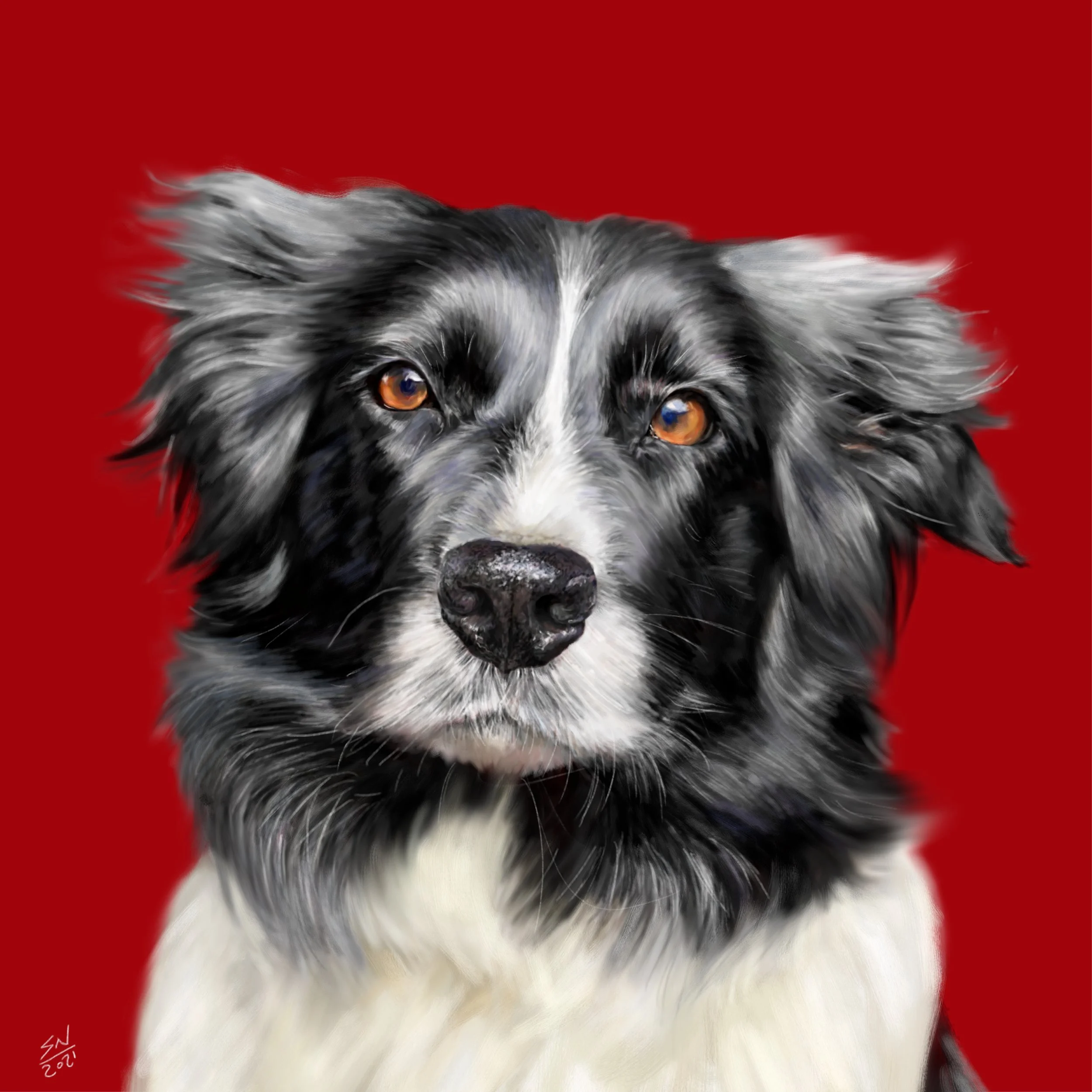 JED_PORTRAIT.jpg