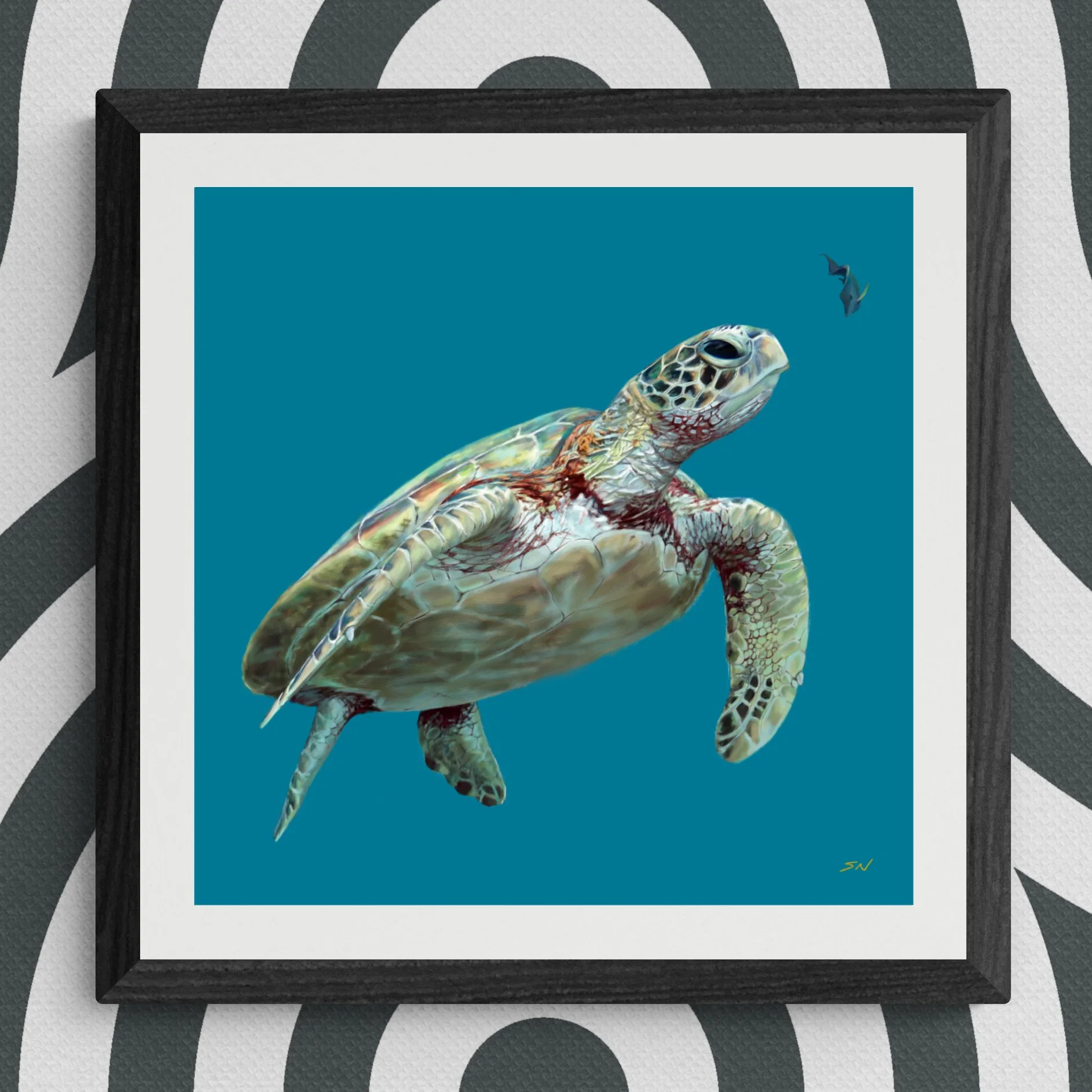 TURTLE_square_1.jpg