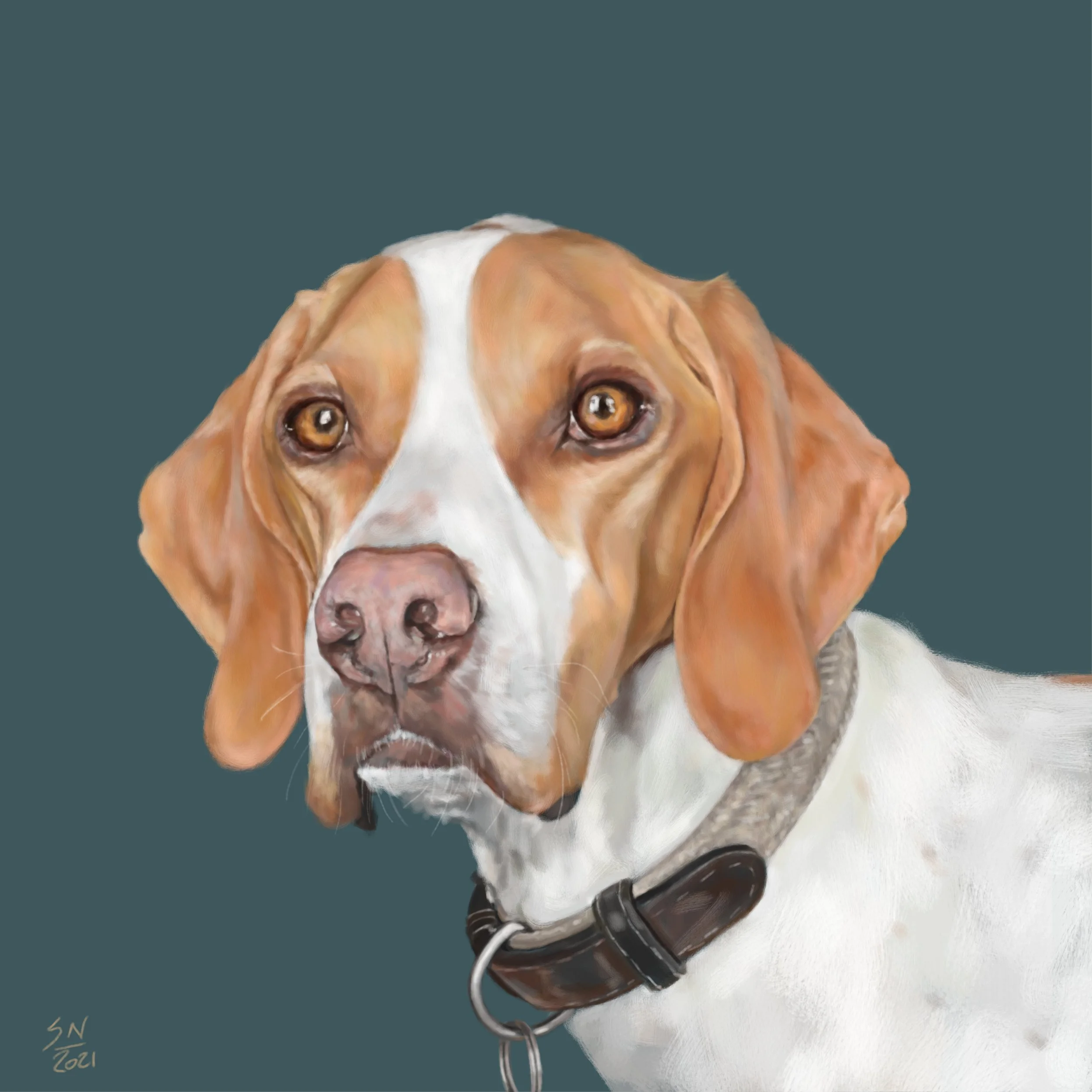 RUPERT_PORTRAIT.jpg