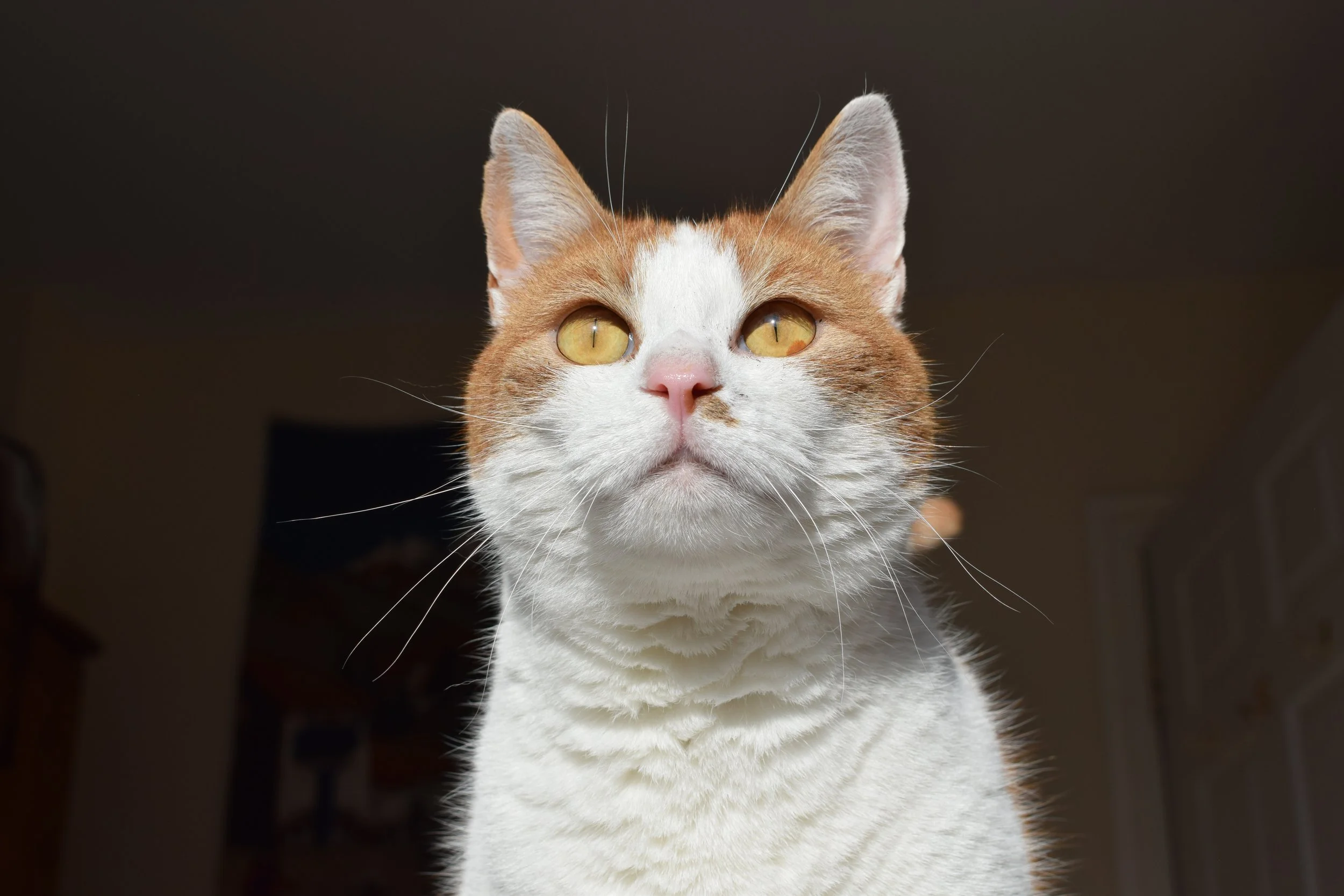 2. 12TH MARHC_16_SAMWELL_Michelle.JPG