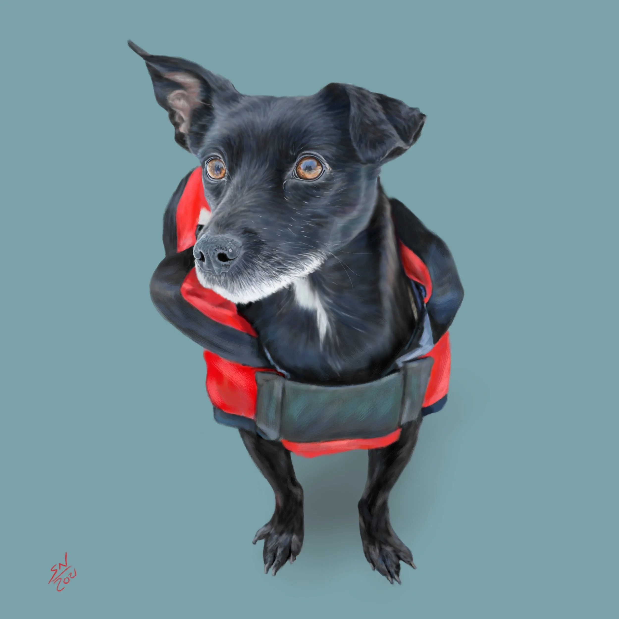 MILLIE_PORTRAIT.jpg