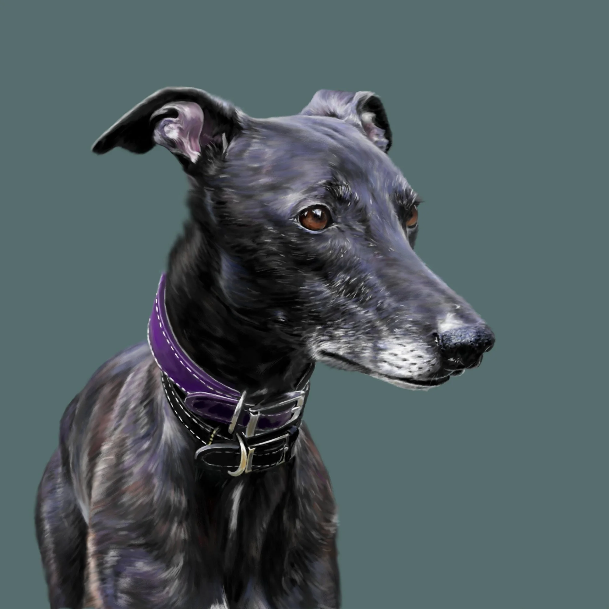 LUNA_PORTRAIT.jpg