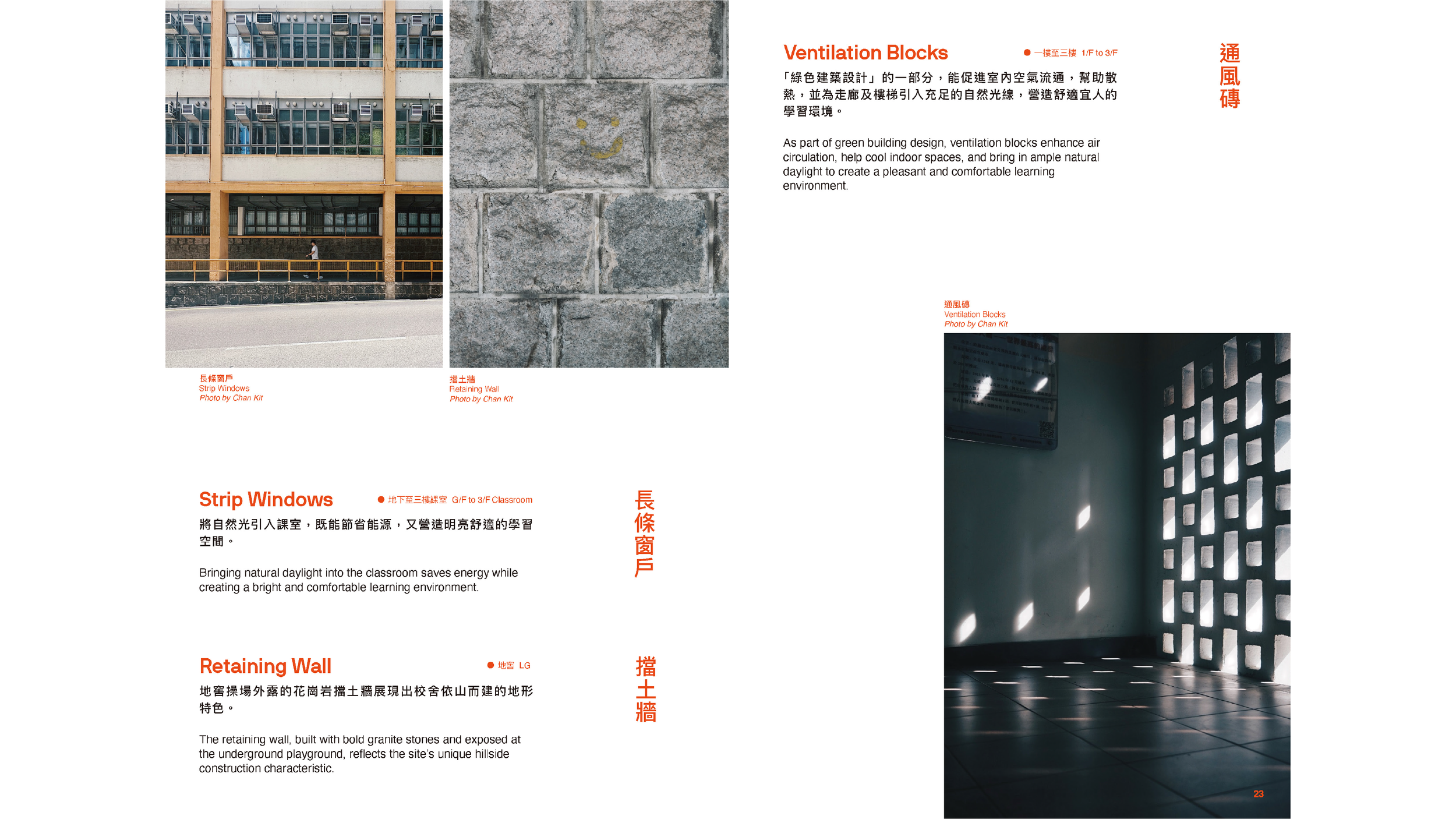 For Website-13.png