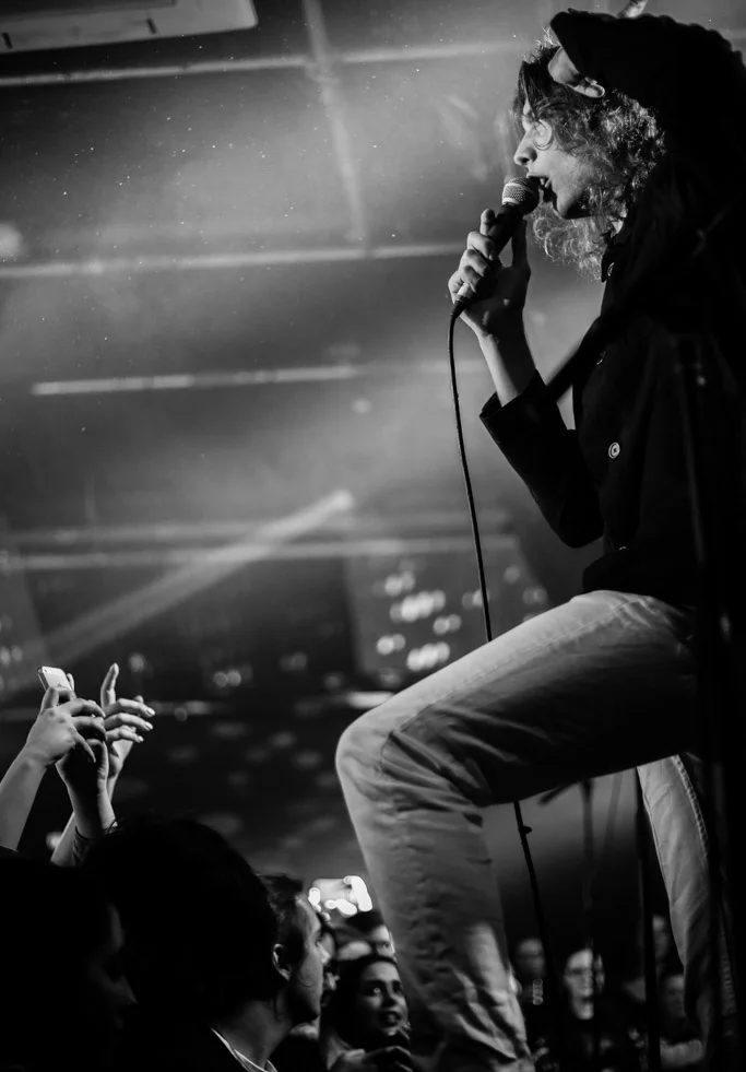 VANT / Gorilla