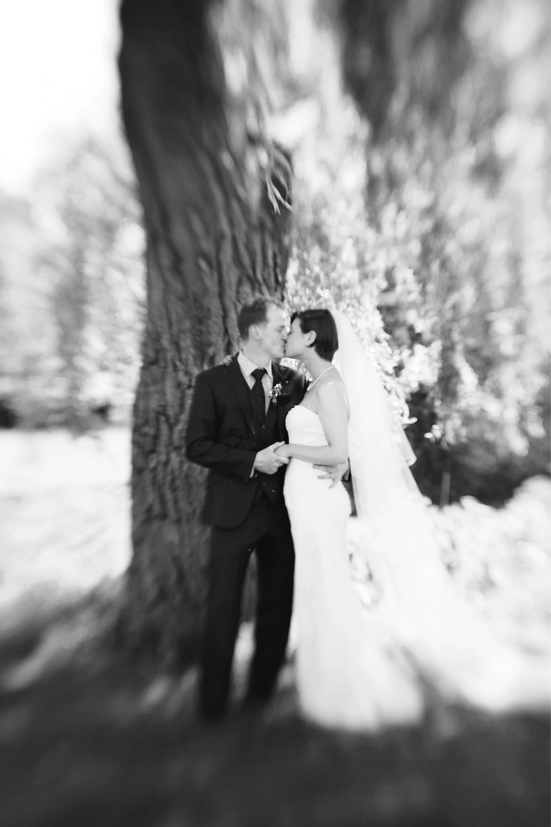 IMG_0149bw_web.jpg